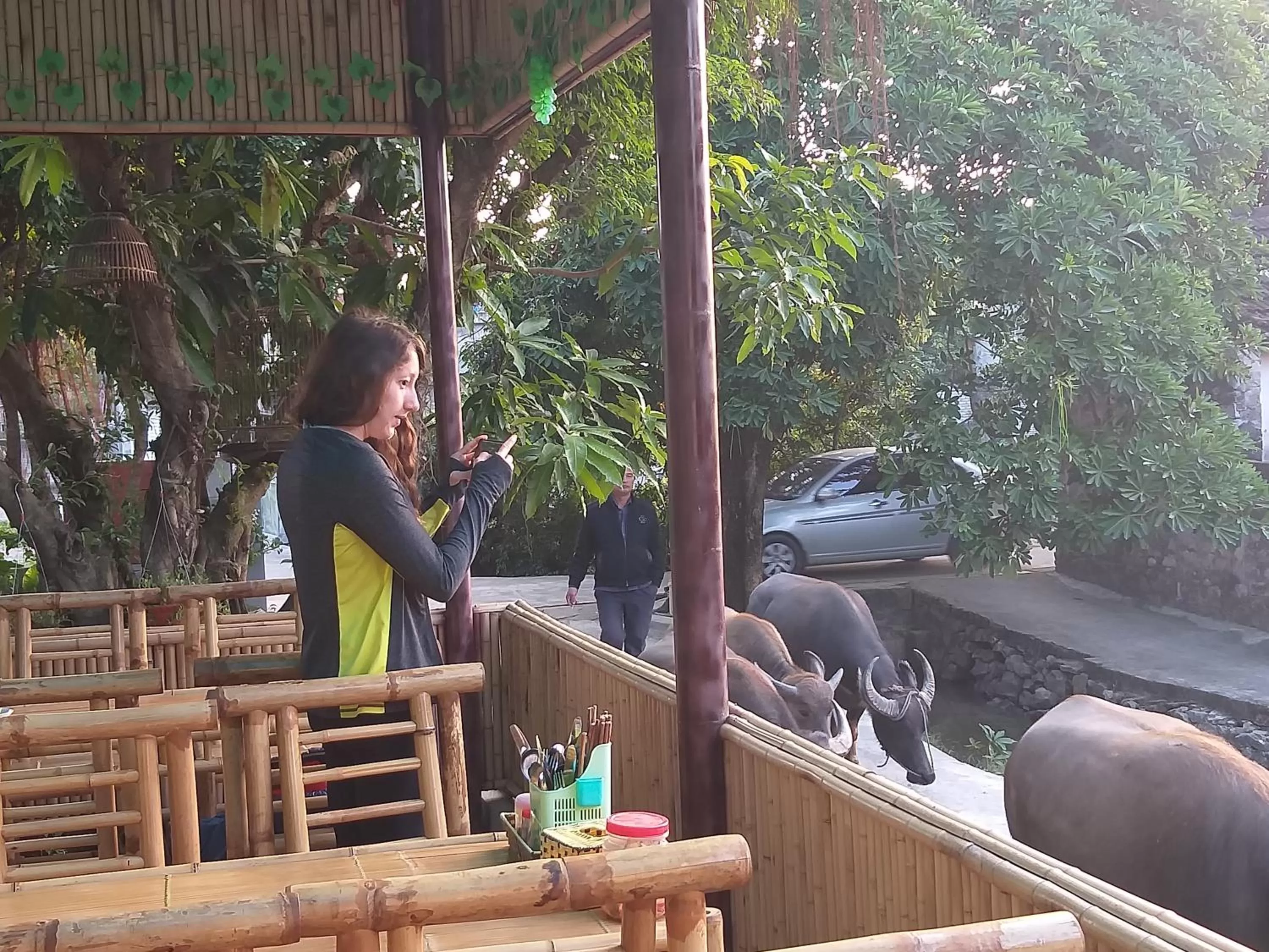 Hang Mua Central Homestay