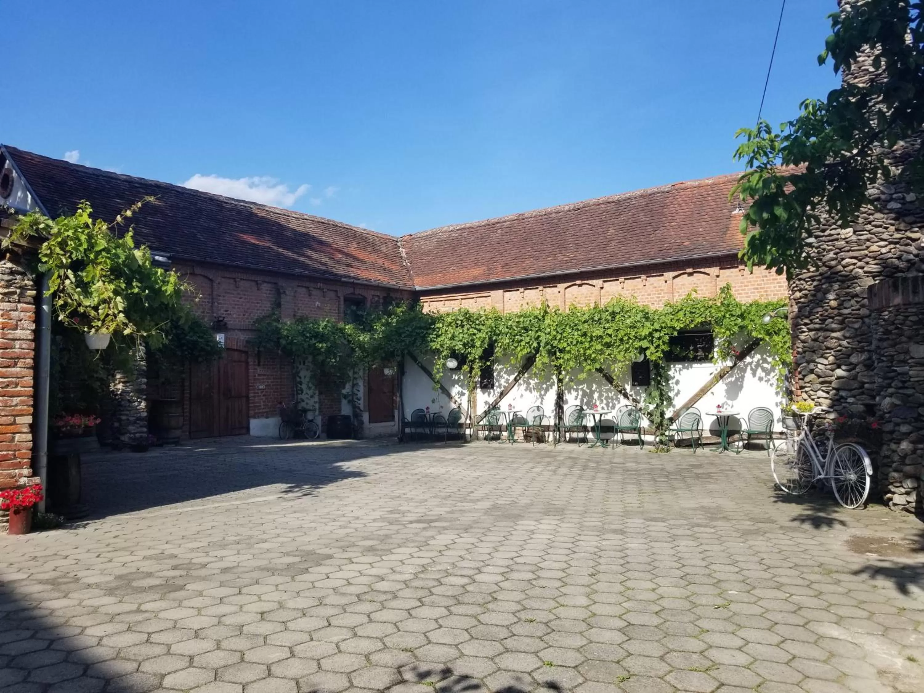 Garden view in Wellness B&B Winery Sontacchi