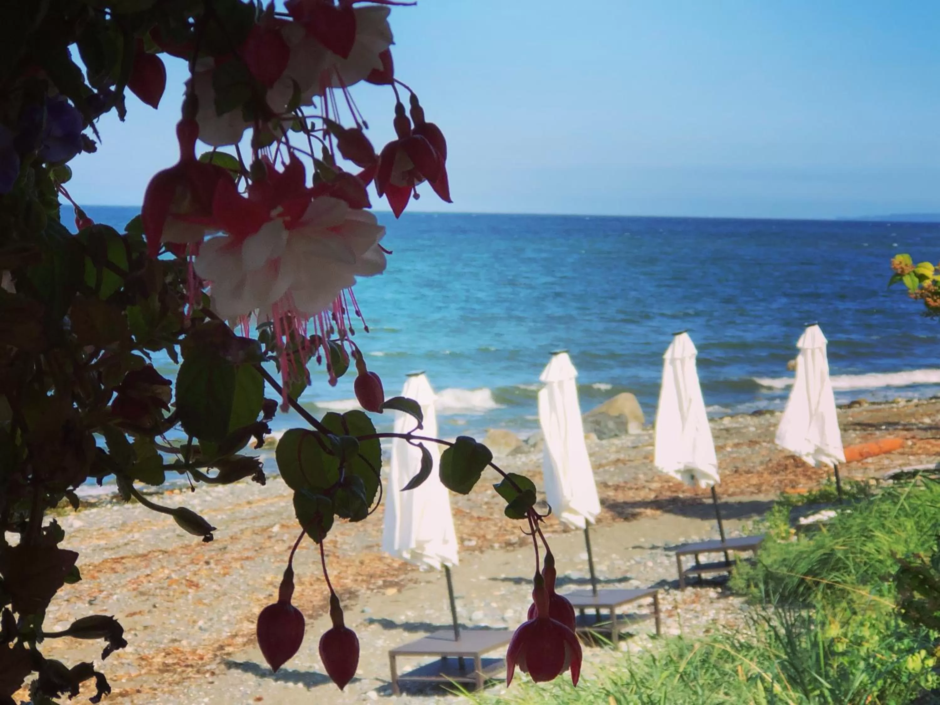 Beach in Qualicum Breeze Beach Resort