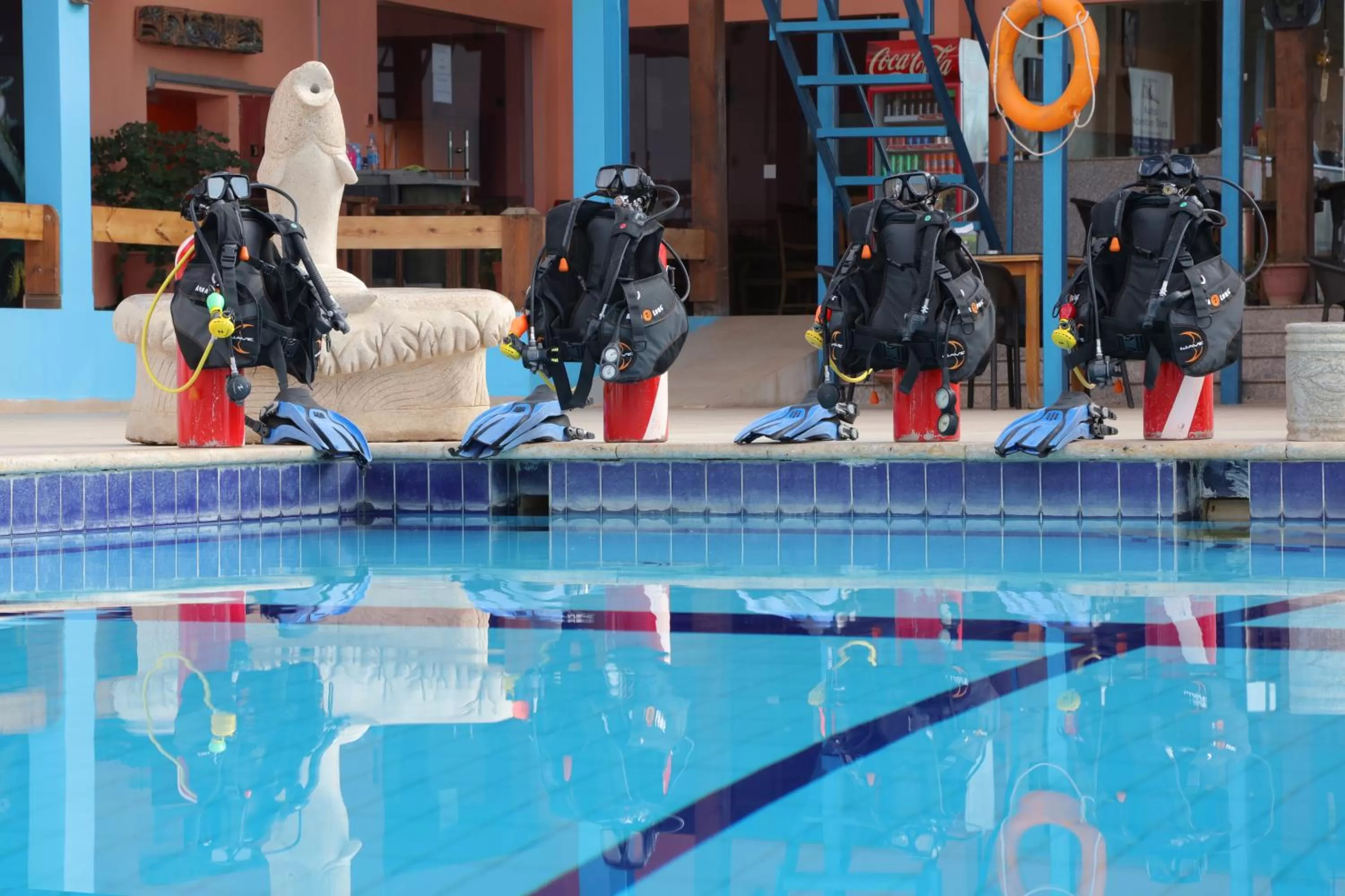 Snorkeling in Aqaba Adventure Divers Resort & Dive Center