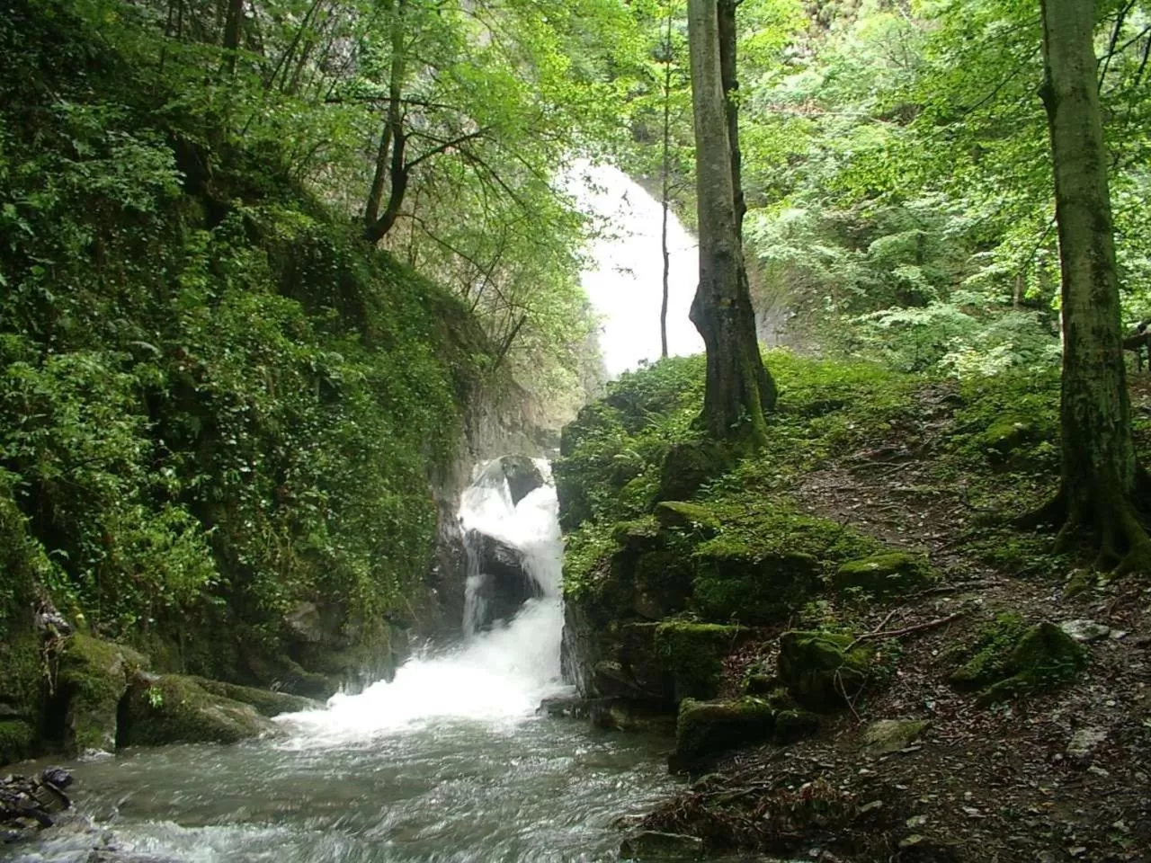 Family Hotel Teteven