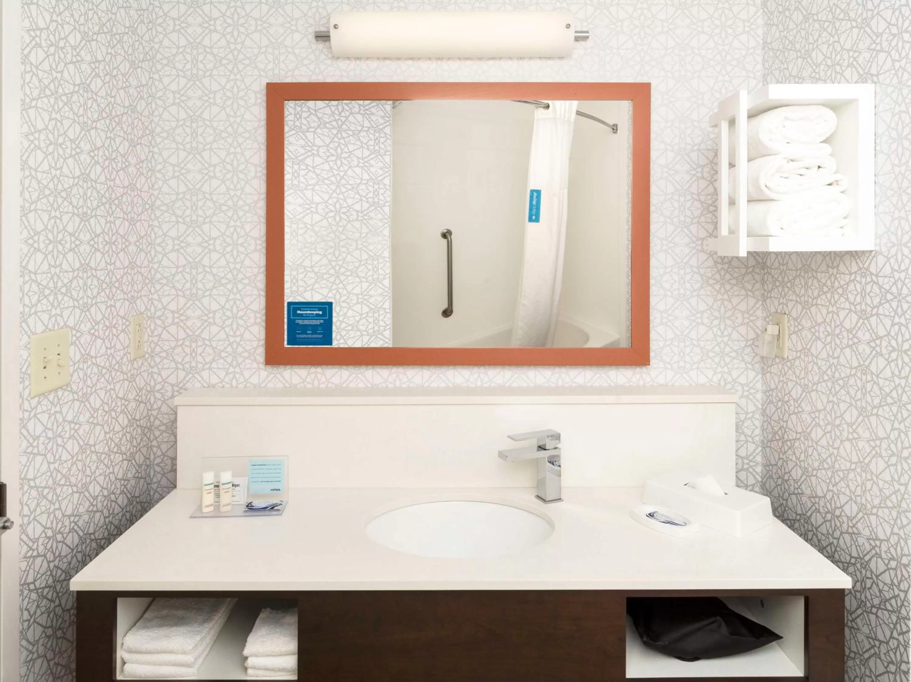 Bathroom in Hampton Inn Greenville