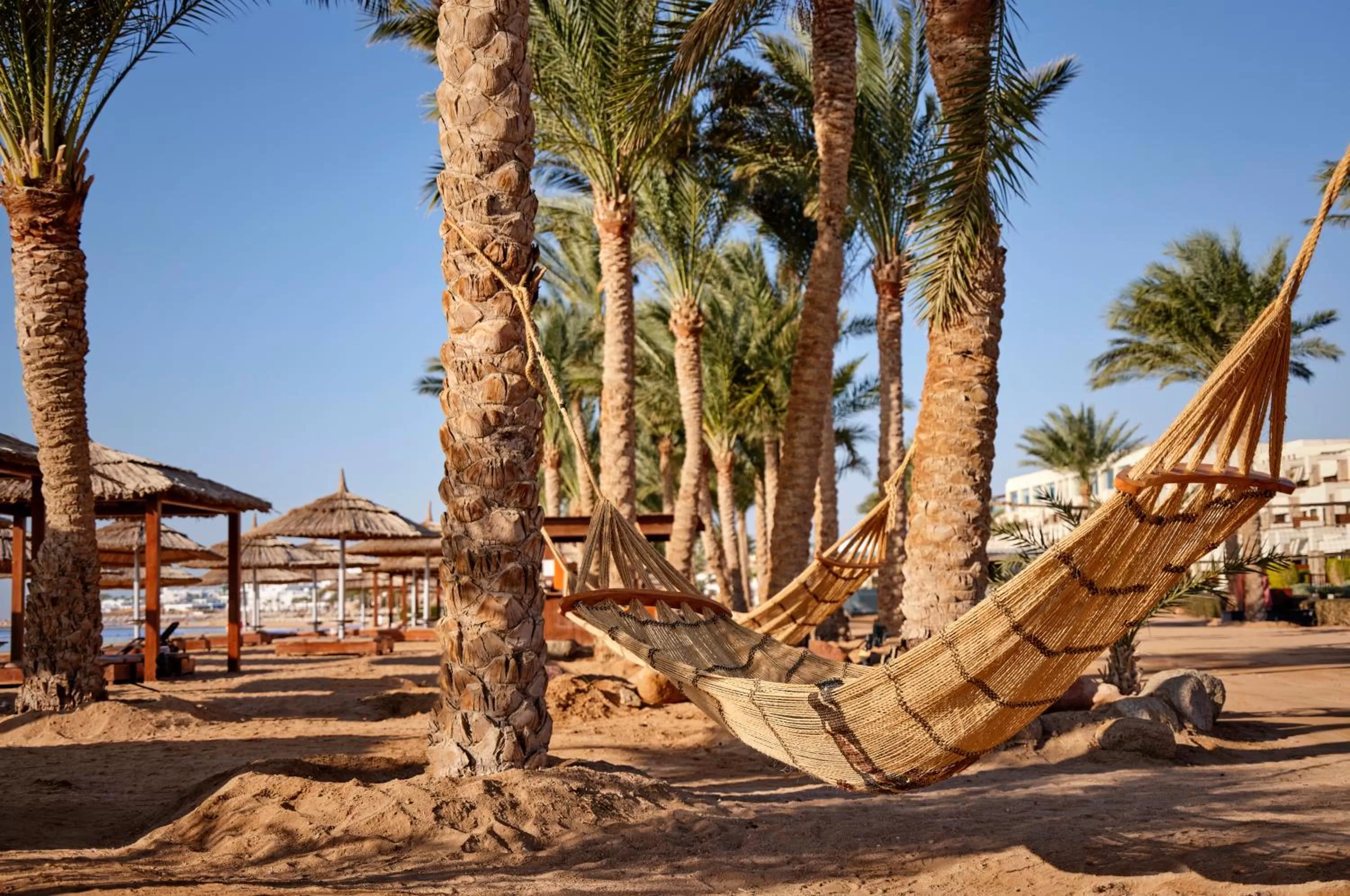 Beach in Coral Sea Imperial "Coral Sea Sensatori"