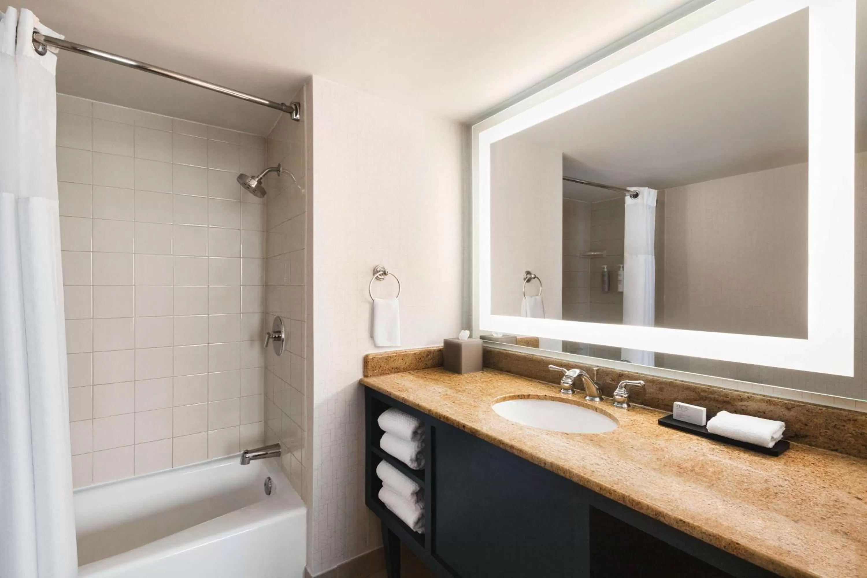 Bathroom in Embassy Suites by Hilton Miami International Airport