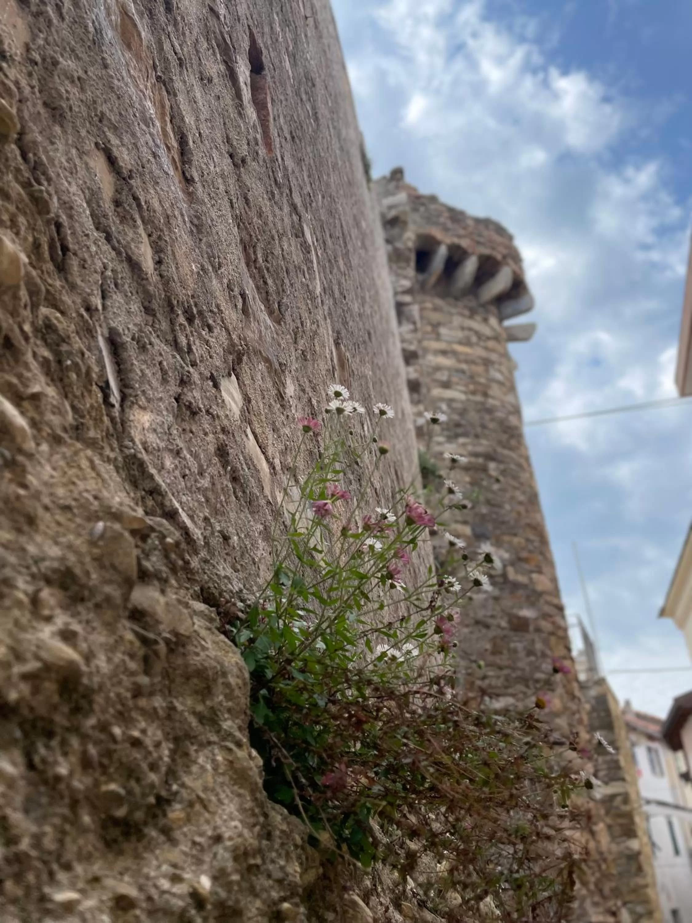 Ti vengo a cercare B&B