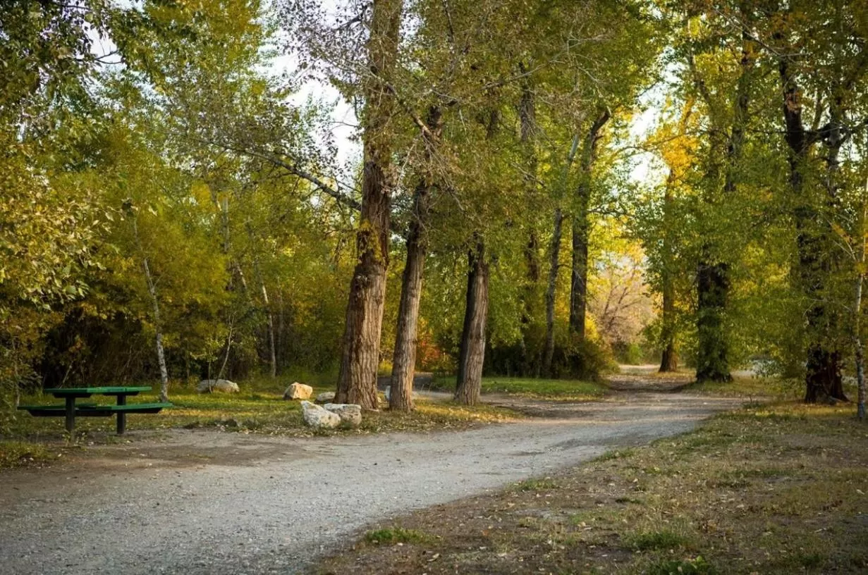 Area and facilities in The Stagecoach Inn