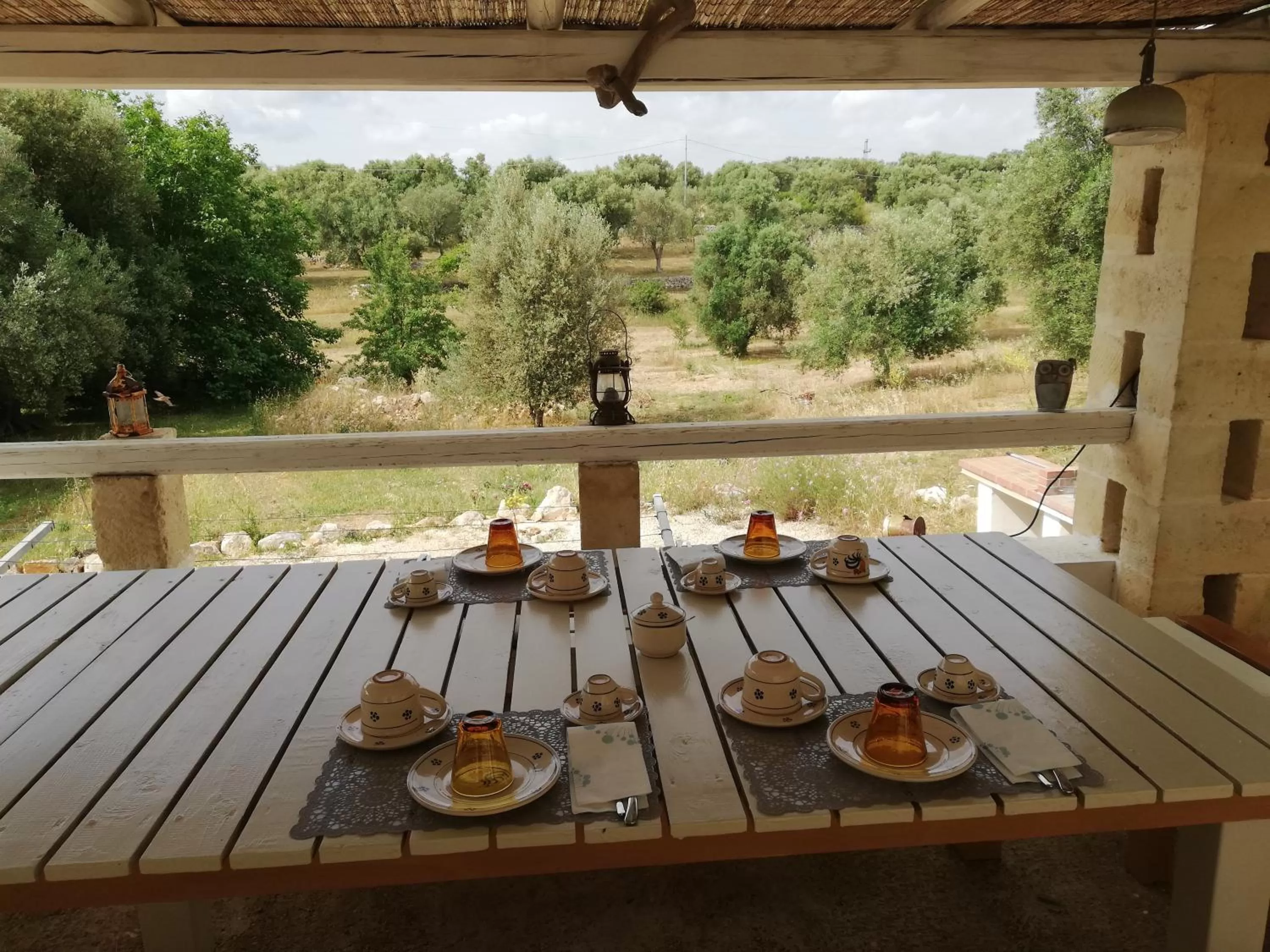 Garden in B&B Giovannarolla Green House