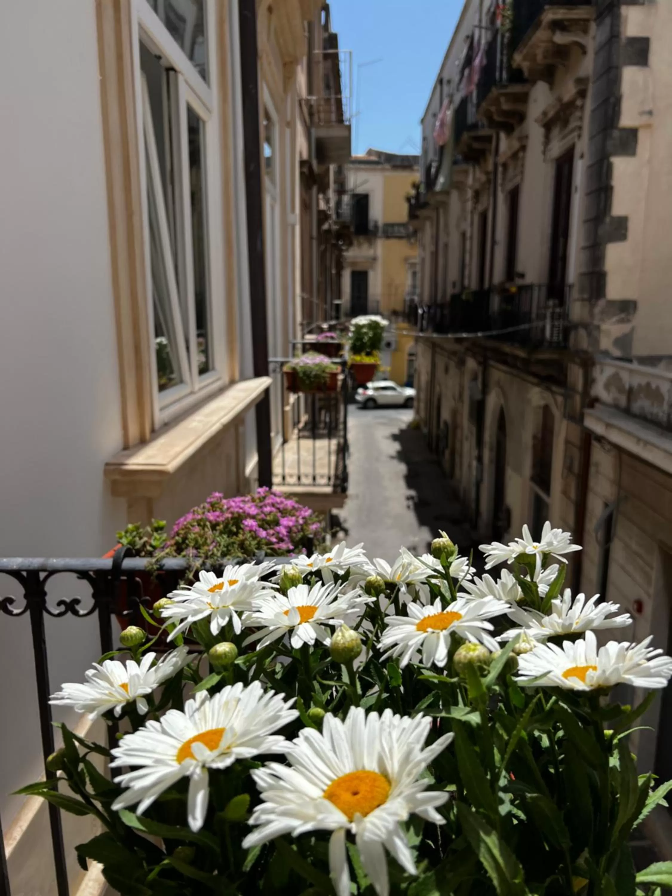 Property building in A'Storia