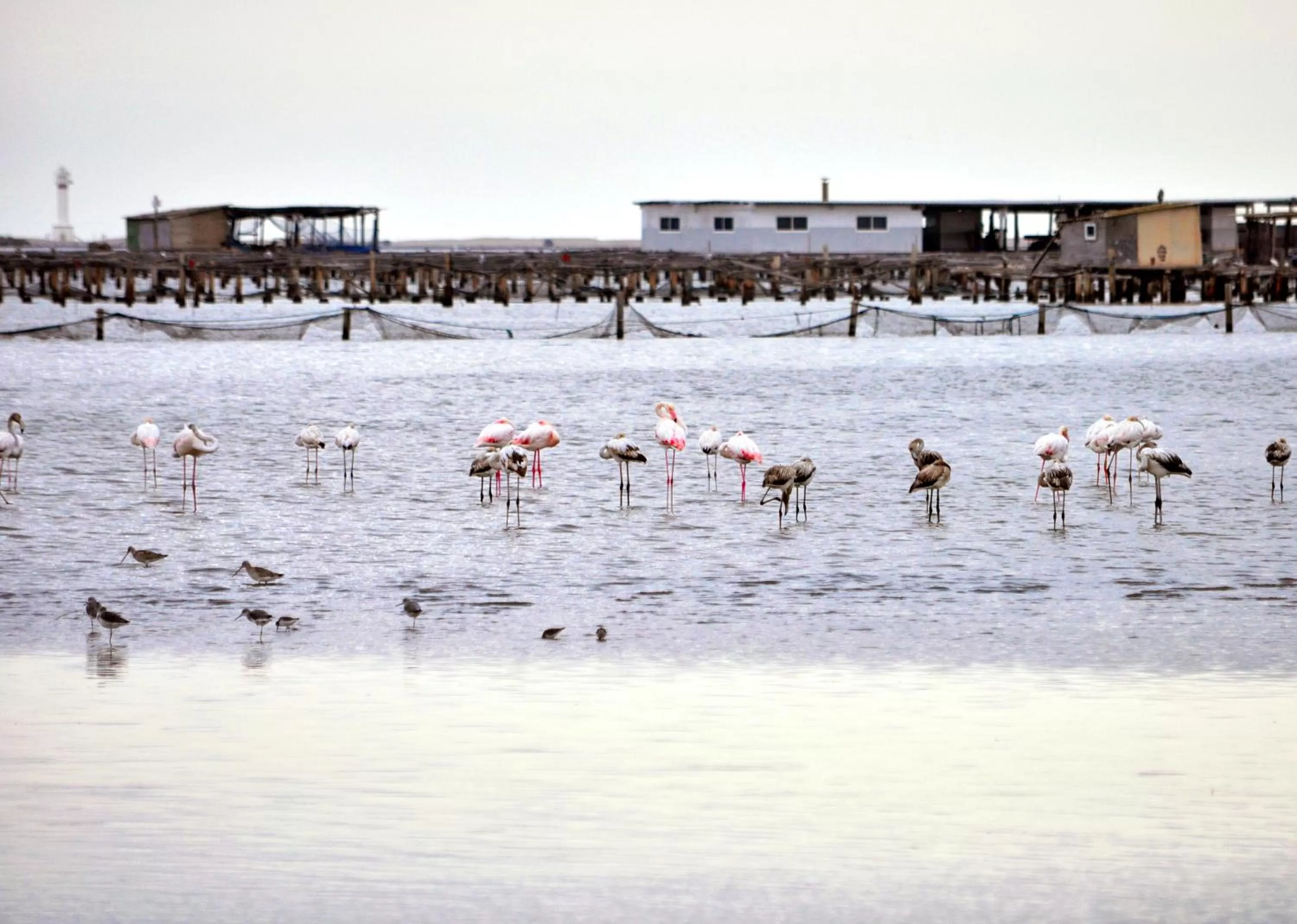 Natural landscape in River Dreams