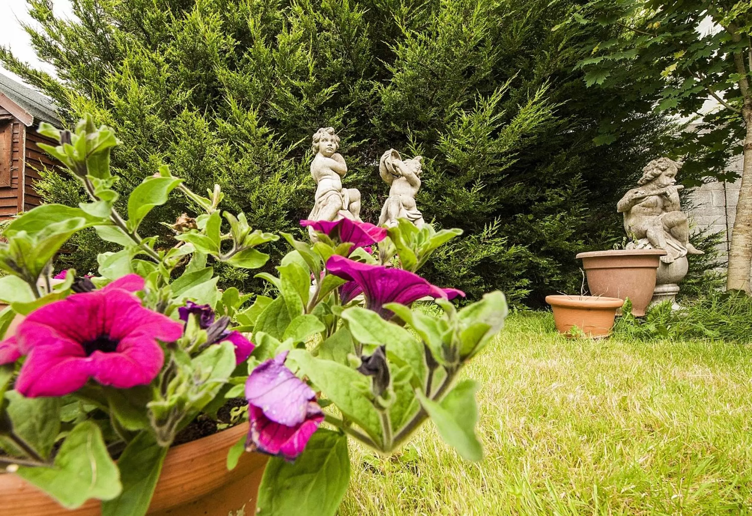 Garden view, Garden in Sea Breeze Lodge B&B Galway
