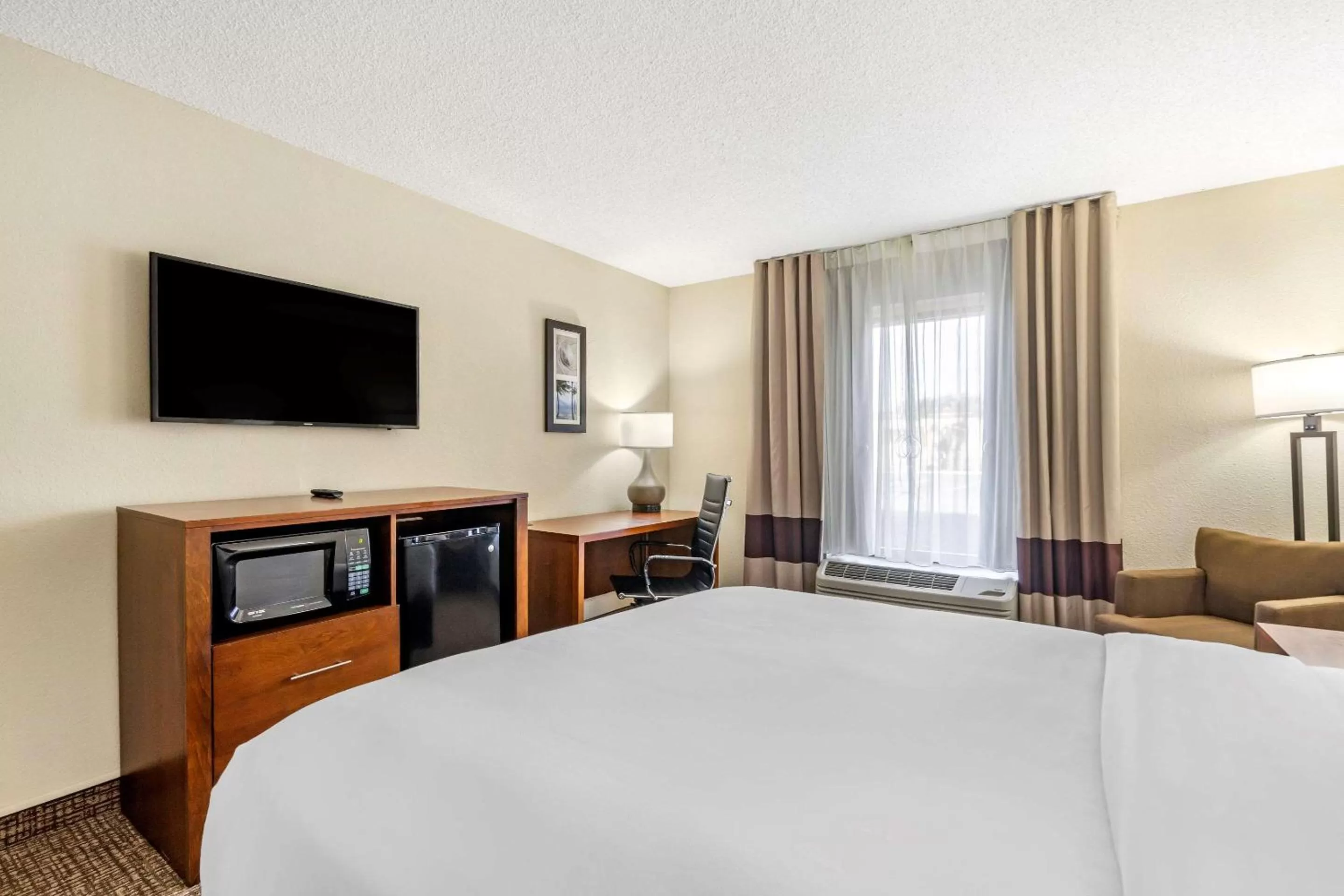 Photo of the whole room, Bed in Comfort Inn & Suites St Pete - Clearwater International Airport
