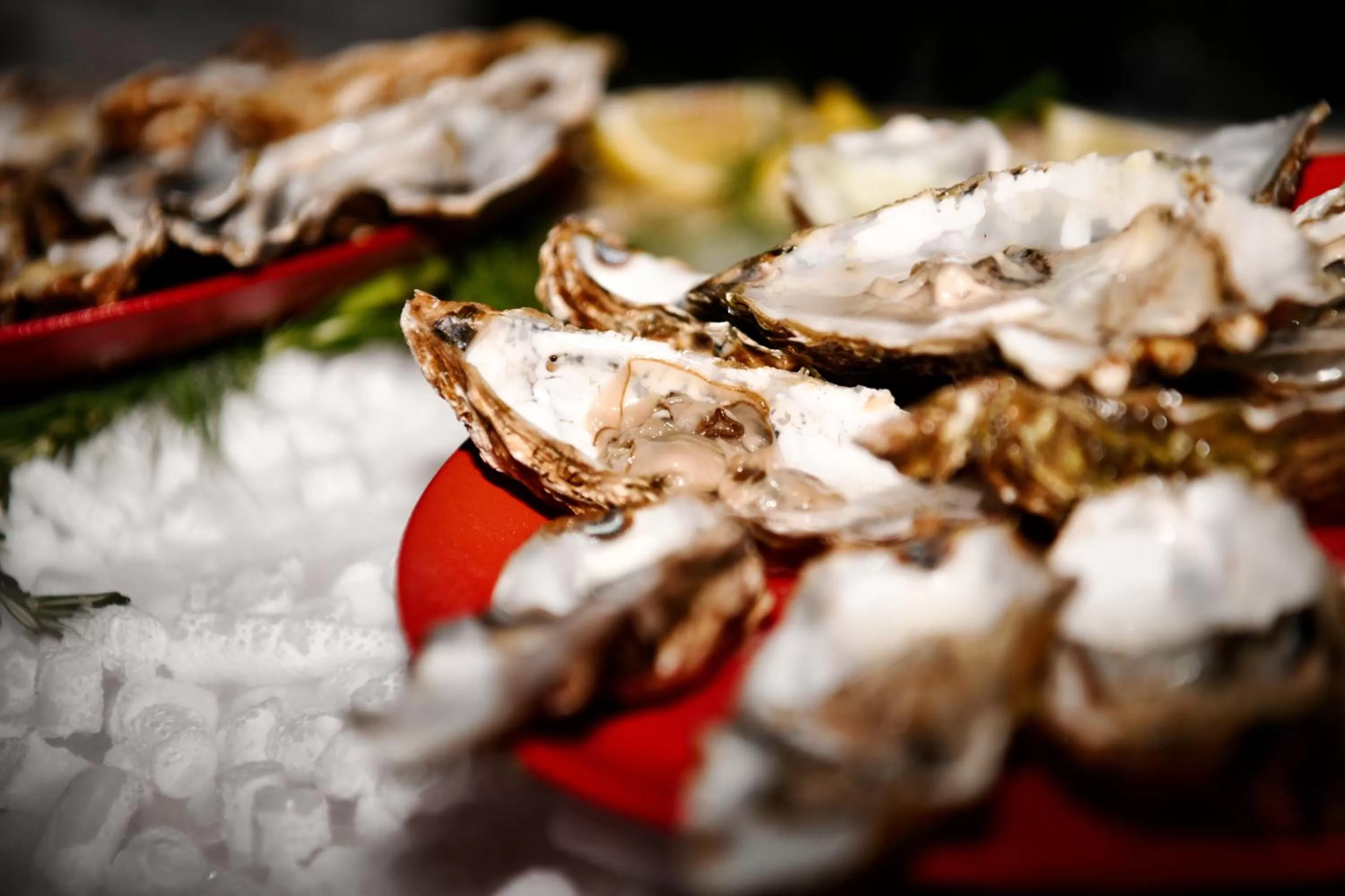 Food and drinks in Palazzo Ignazio