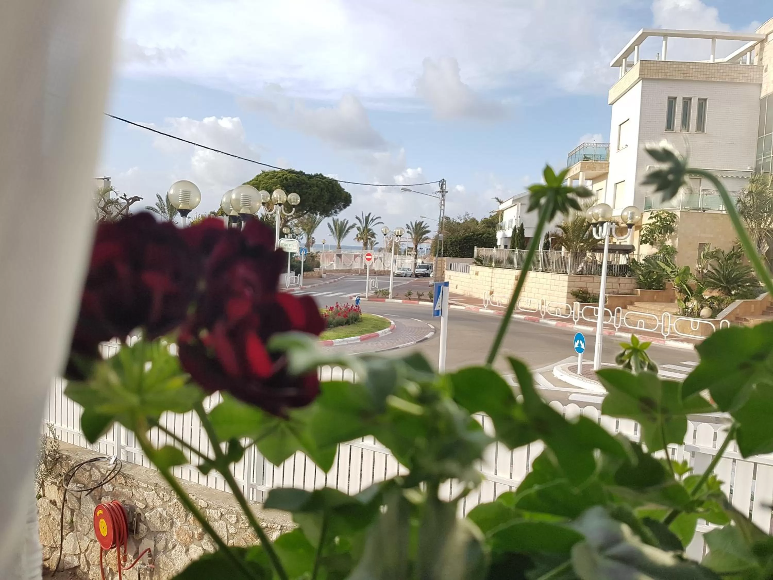 Garden in אבני החושן- Avnei Hoshen