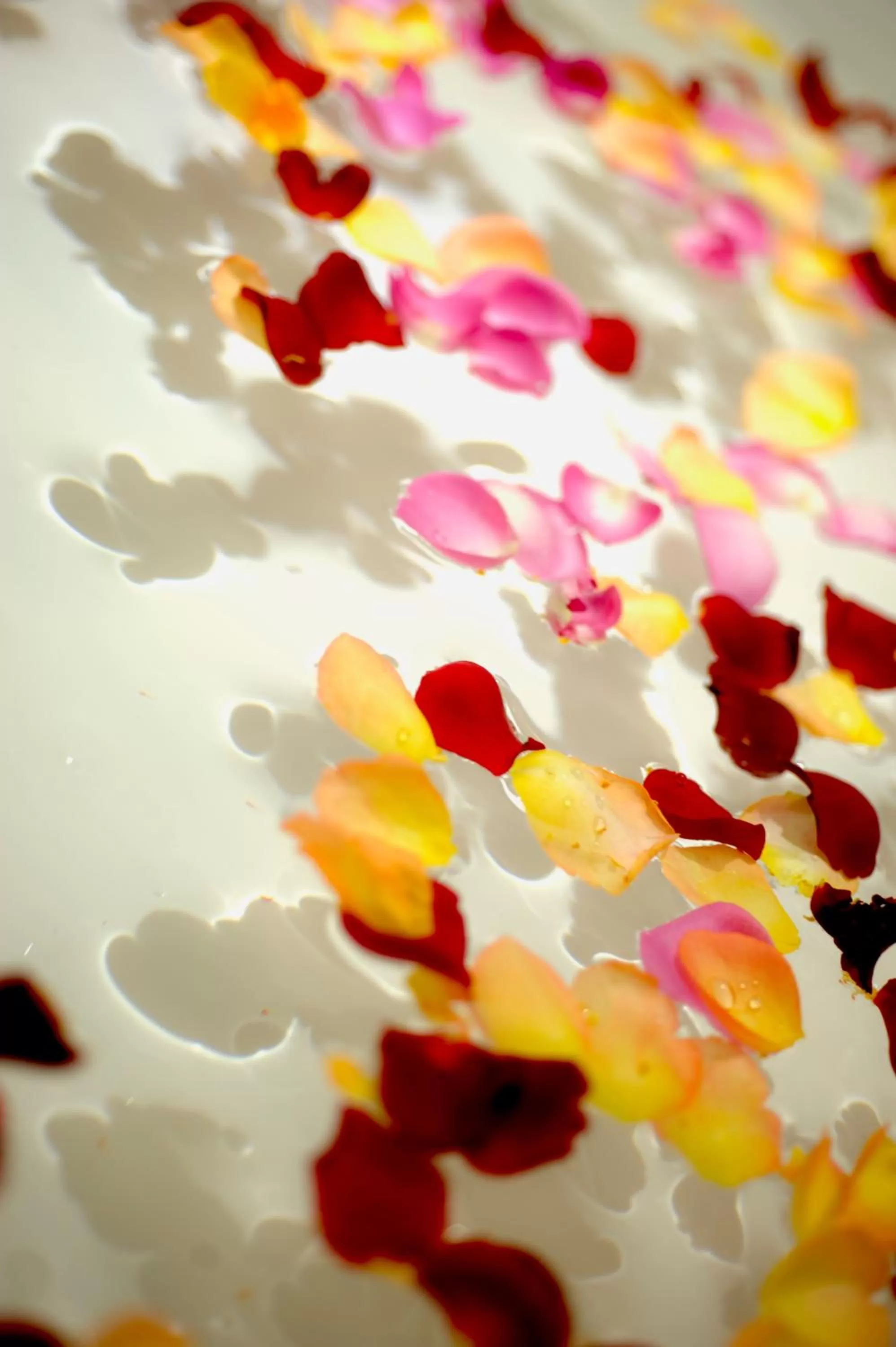 Decorative detail in Saual Keh Hotel