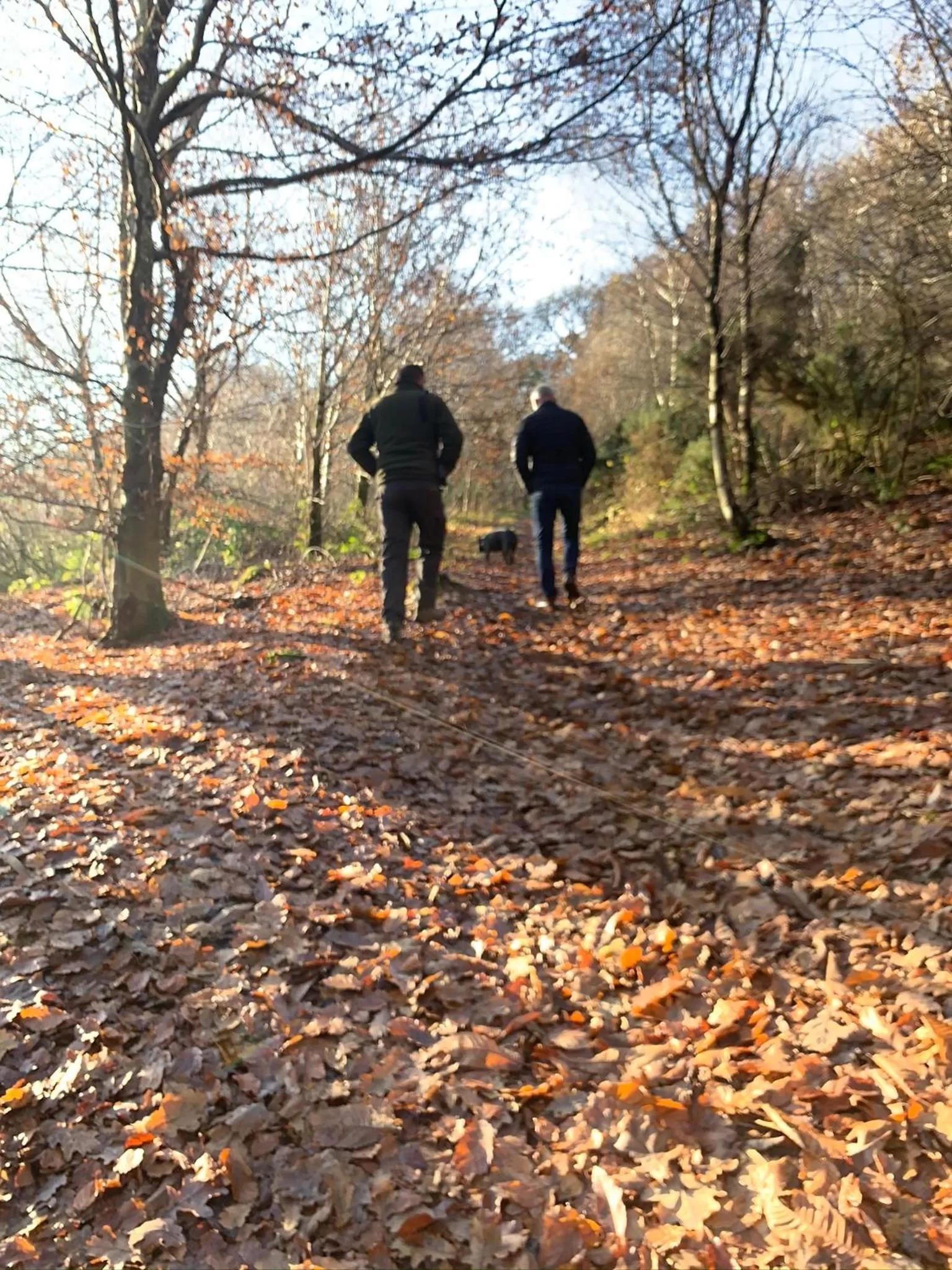 Natural landscape in Ty Capel