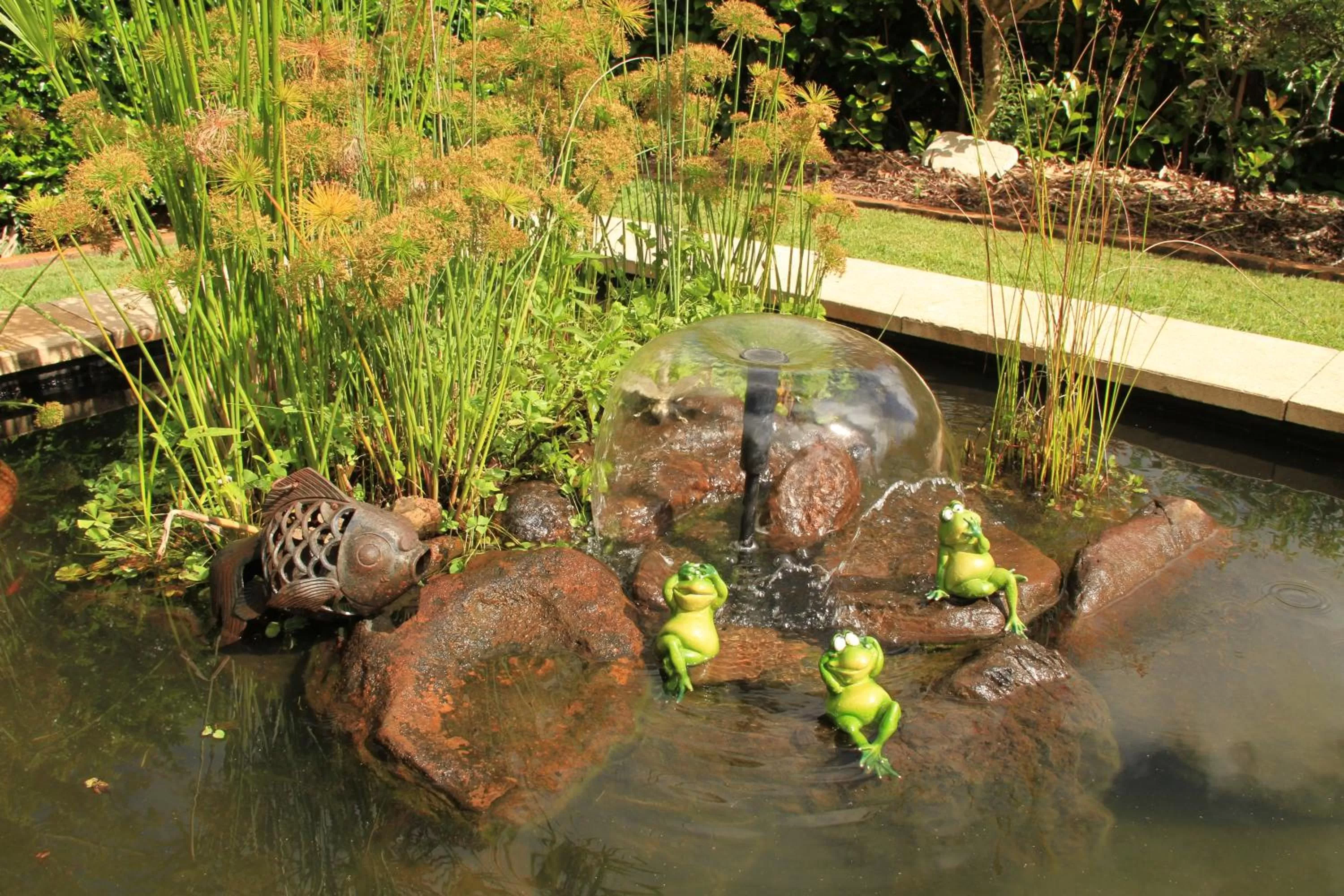 Garden in "Seasons of Maleny B&B"