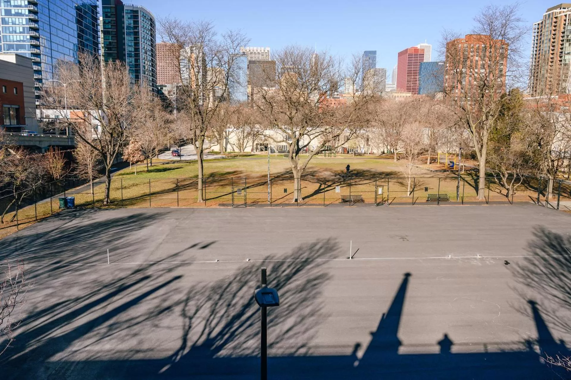 Pets in Kasa South Loop Chicago