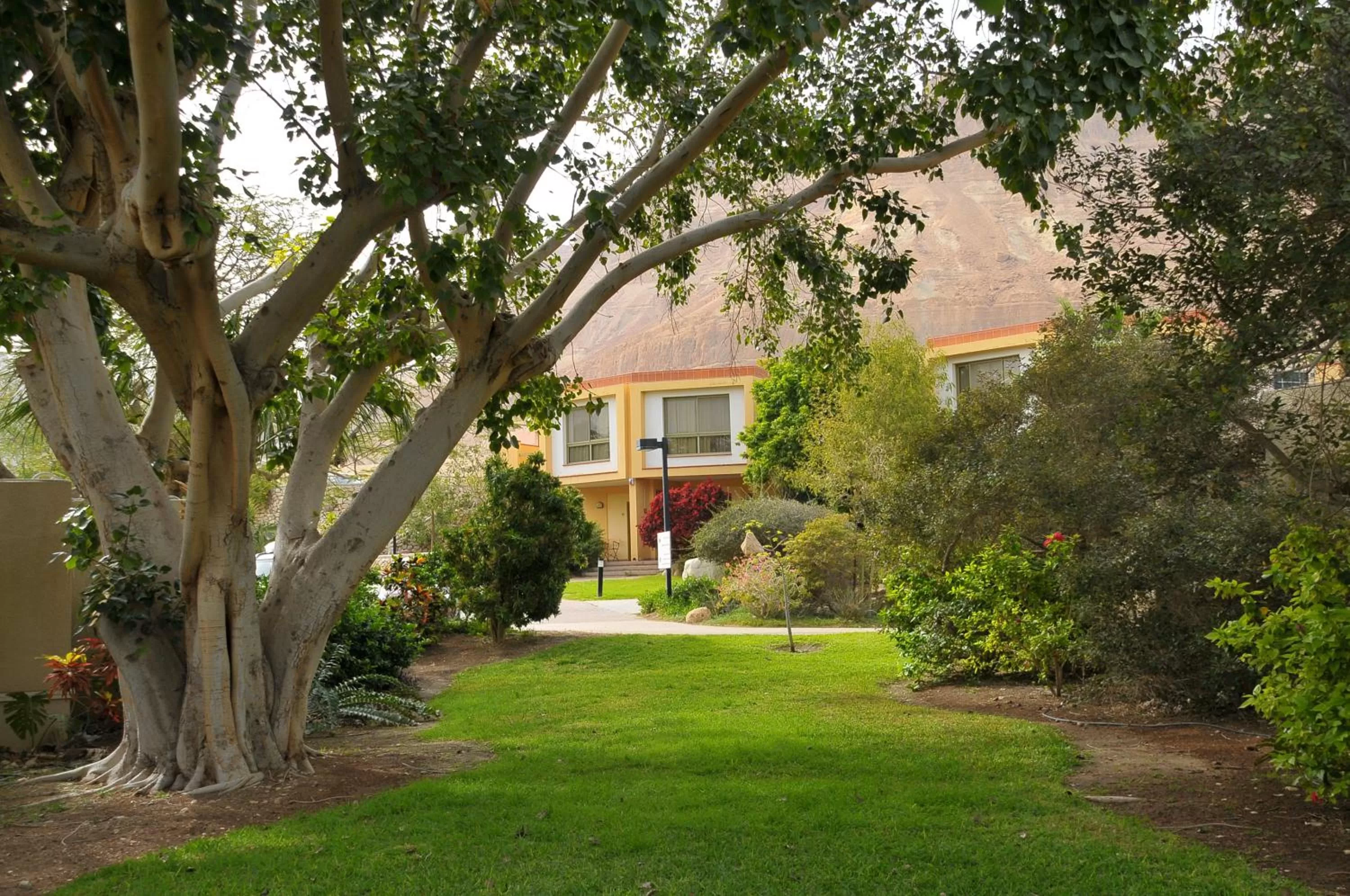 Neighbourhood in Ein Gedi Kibbutz Hotel