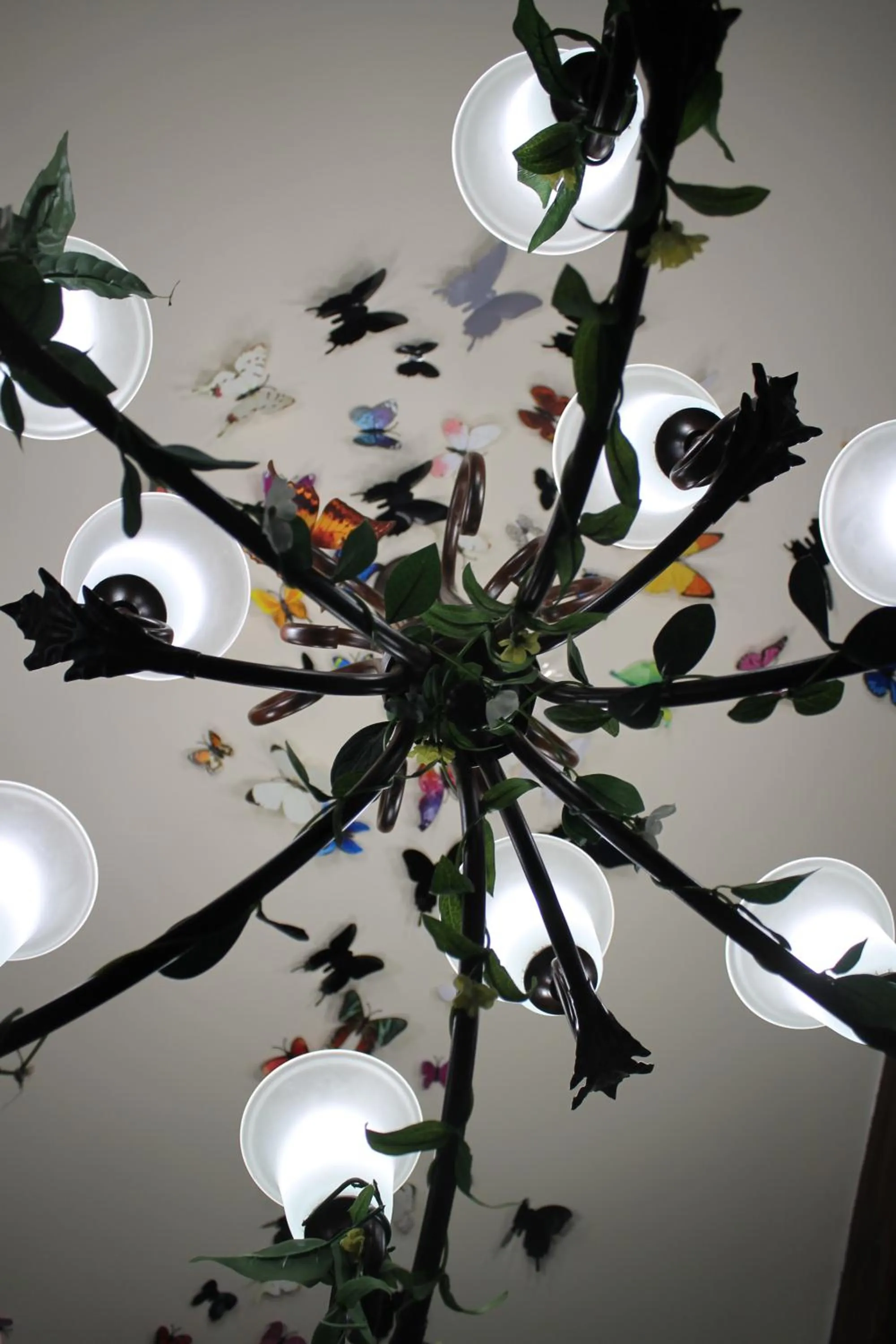 Restaurant/places to eat in Hotel El Castillo