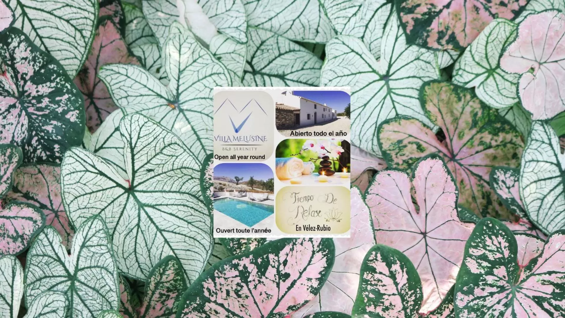 VILLA MELUSINE Bed & Breakfast