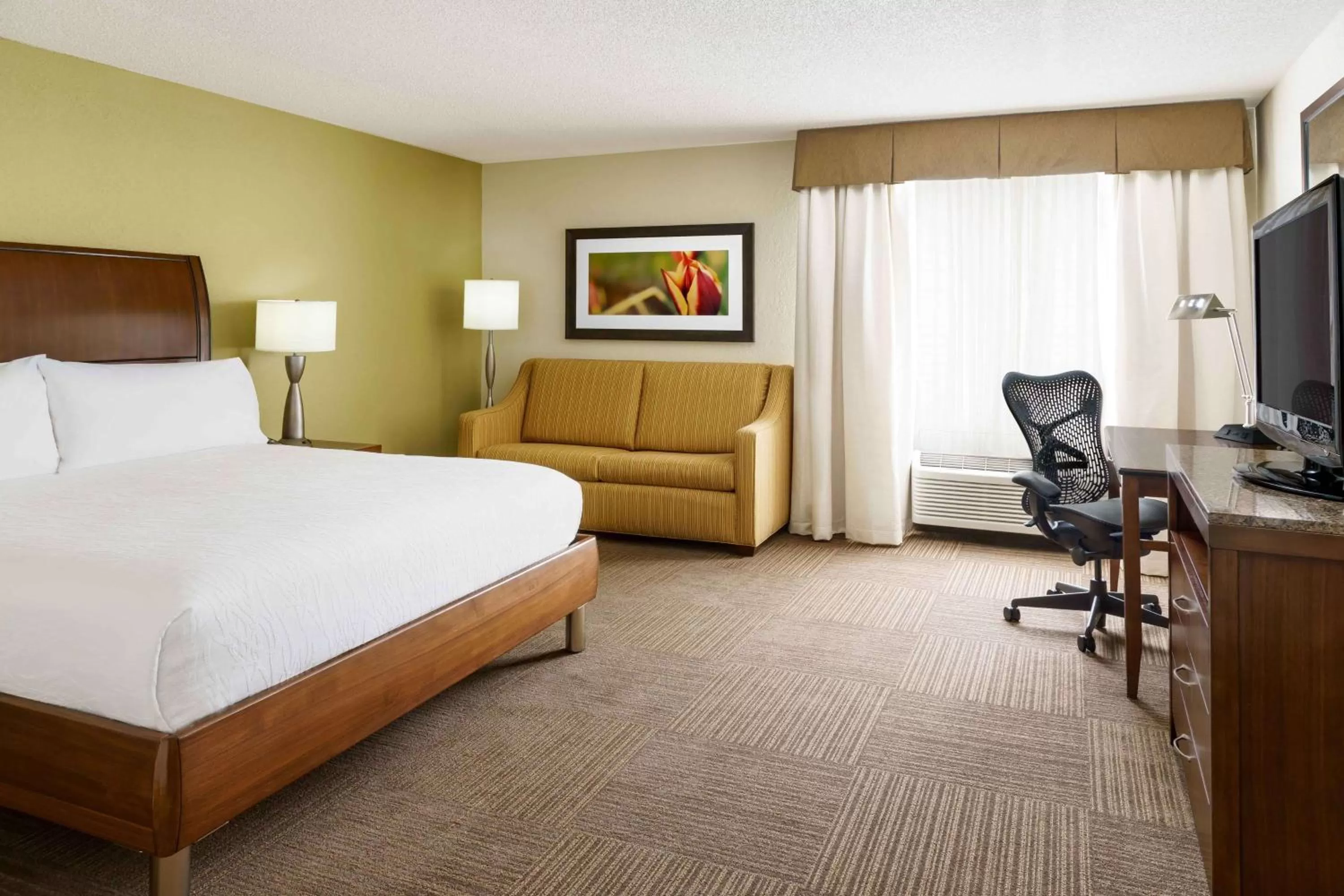 Deluxe King Room with Sofa Bed in Hilton Garden Inn Lake Mary