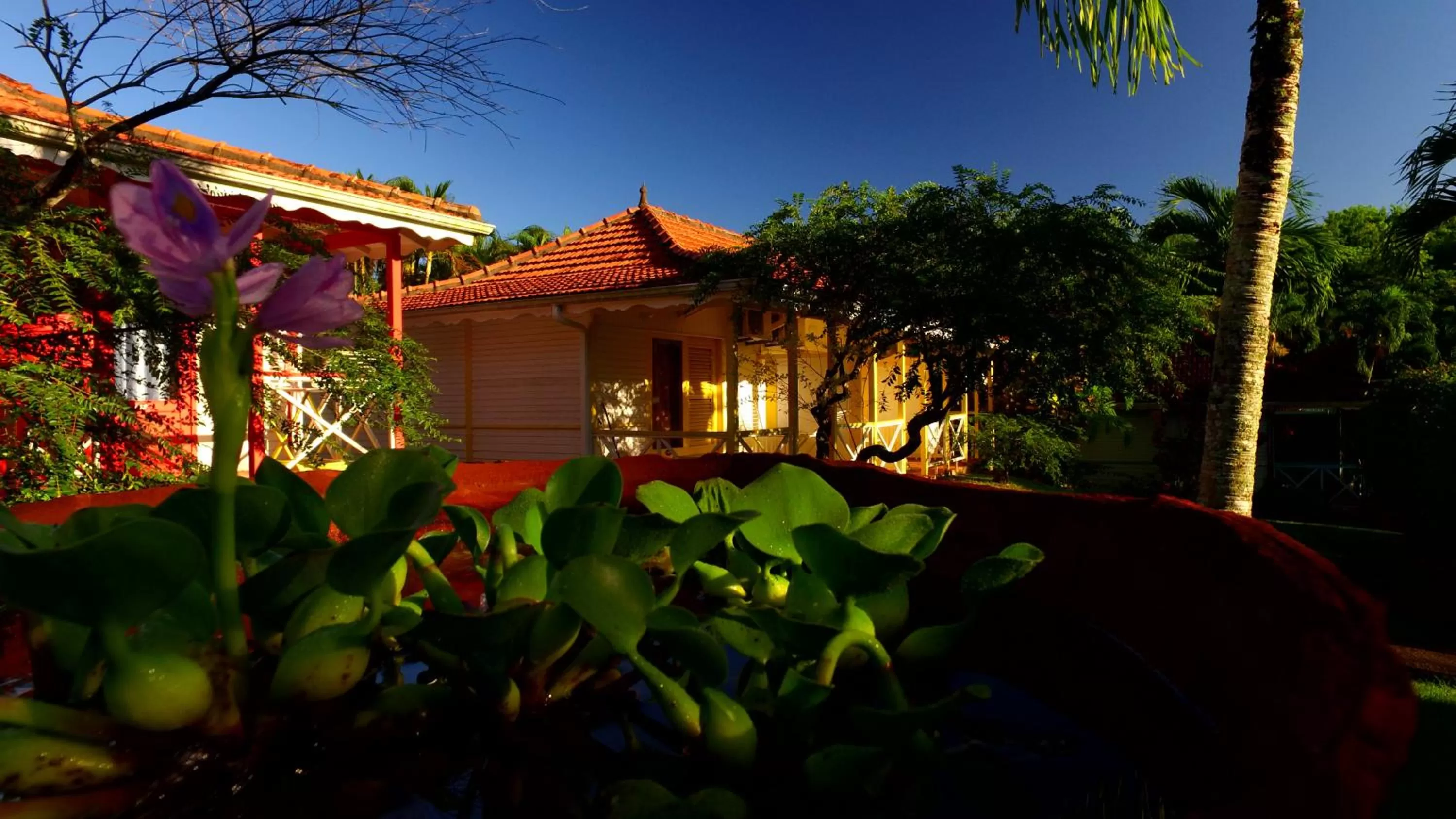 Garden view in Imperatrice Village - Résidence sur la plage