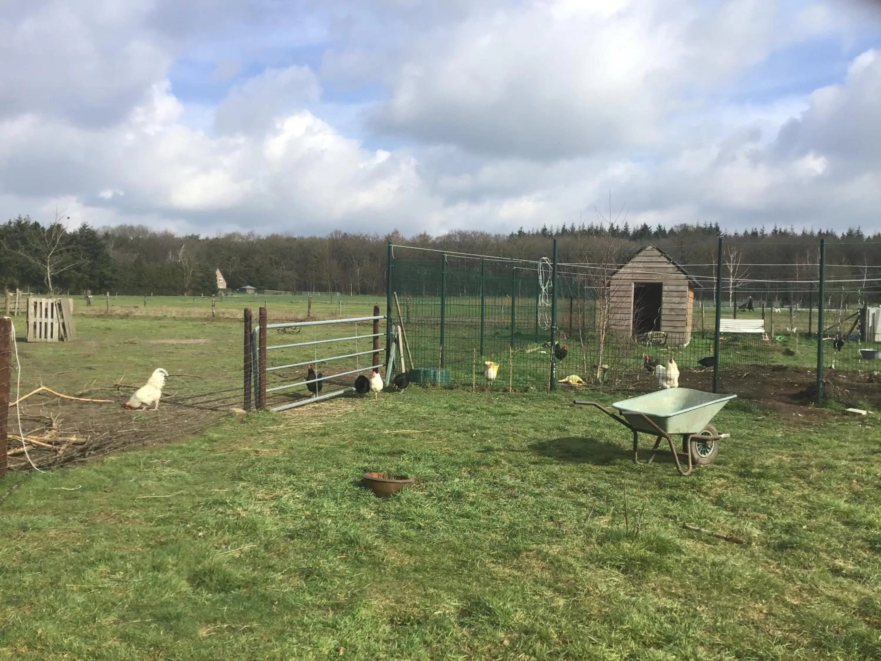 Garden in Nergena Zimmer Frei