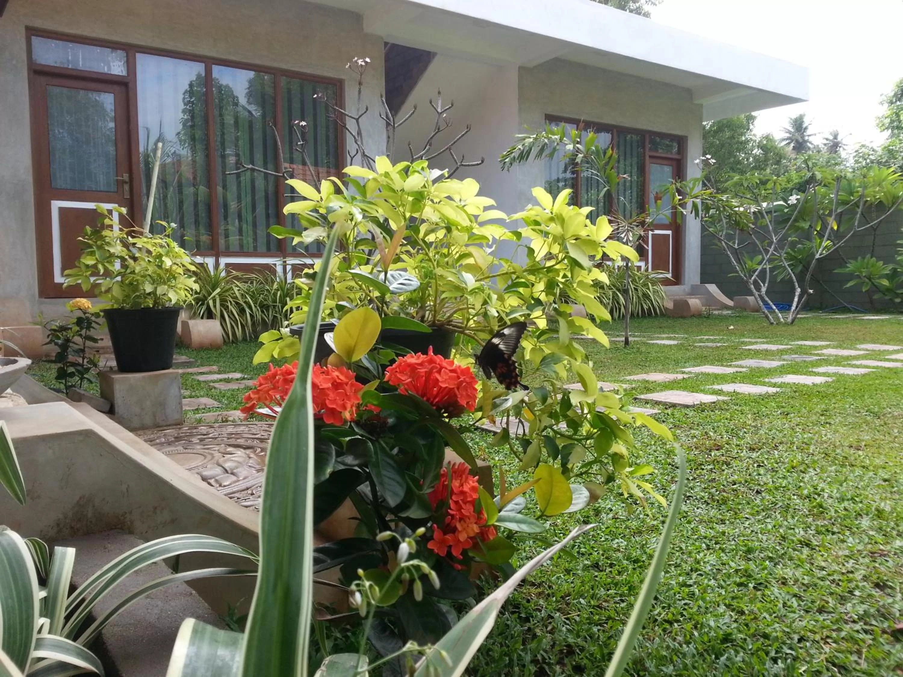 Bird's eye view, Property Building in Green Wood Villa Negombo