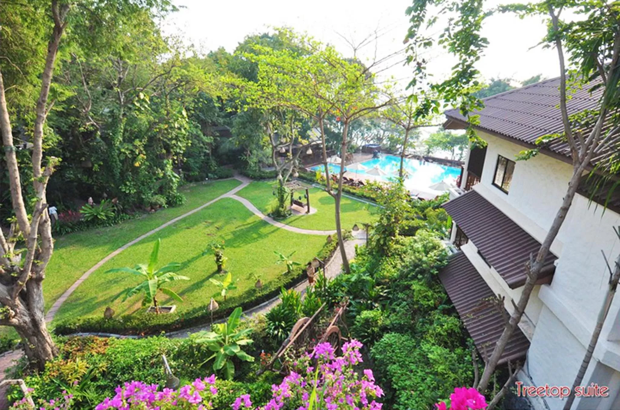 Garden view in Birds and Bees Resort