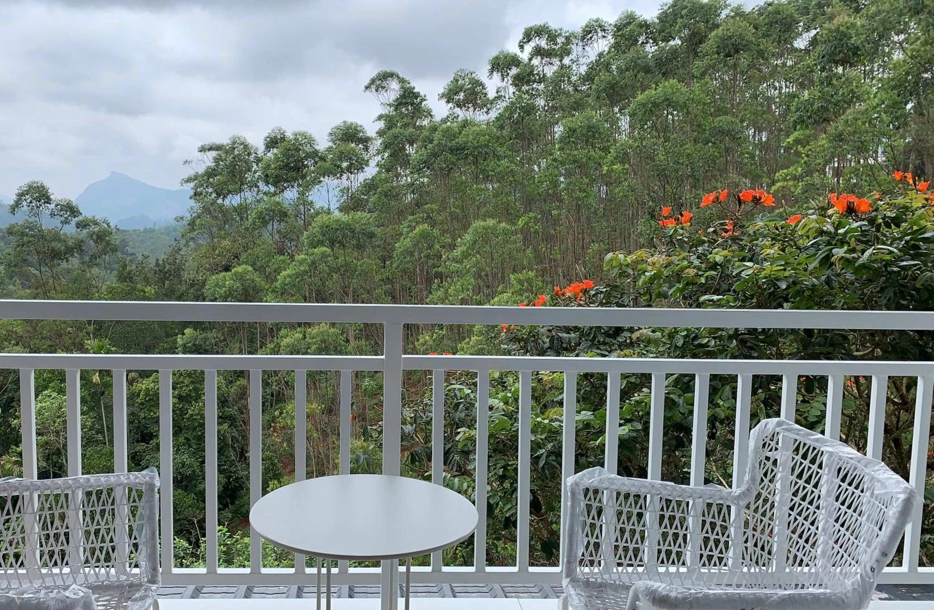 View (from property/room) in HOTEL WHITE HOUSE, Munnar