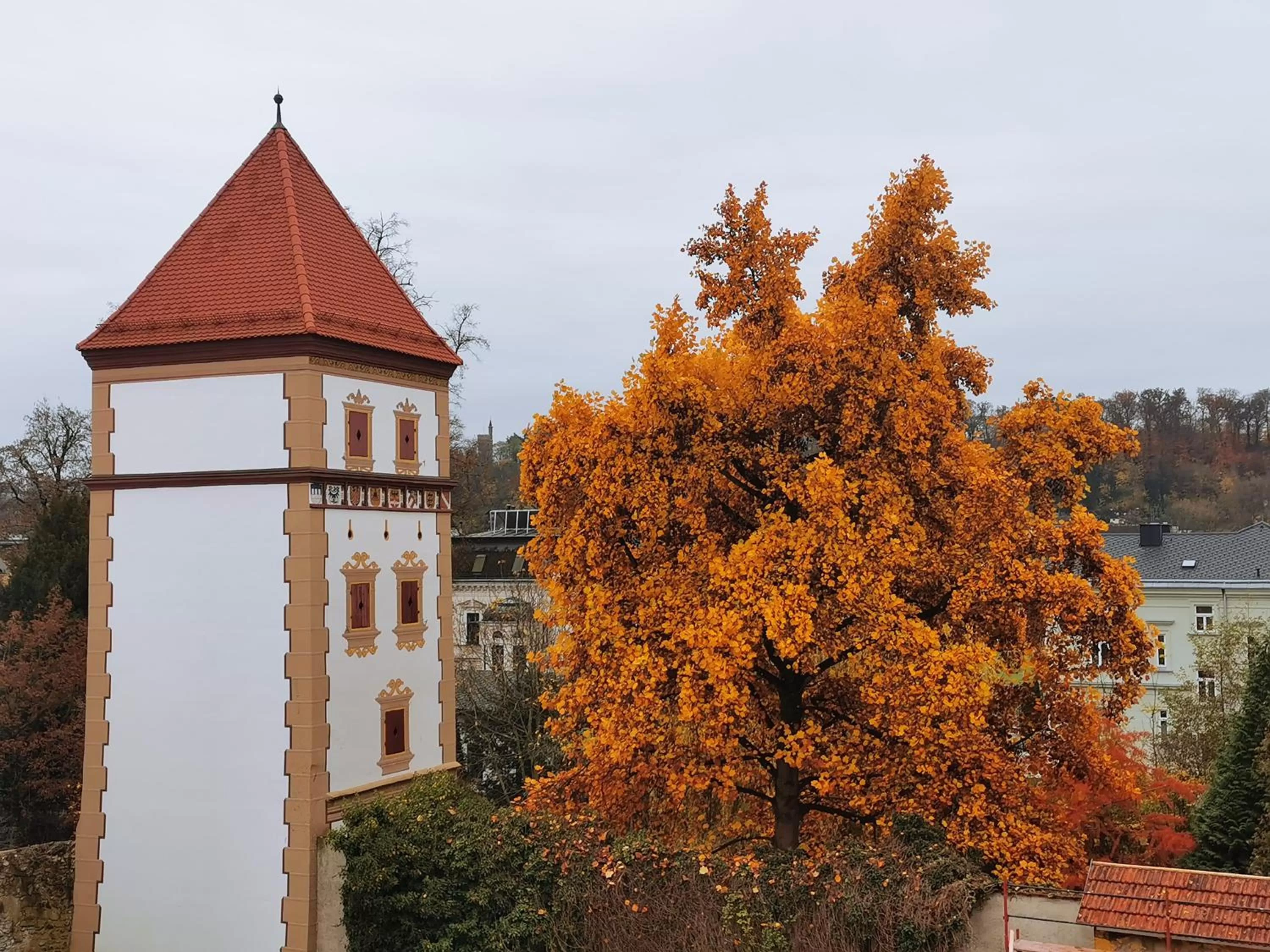 Nearby landmark in Amedia Plaza Wels, Trademark Collection by Wyndham