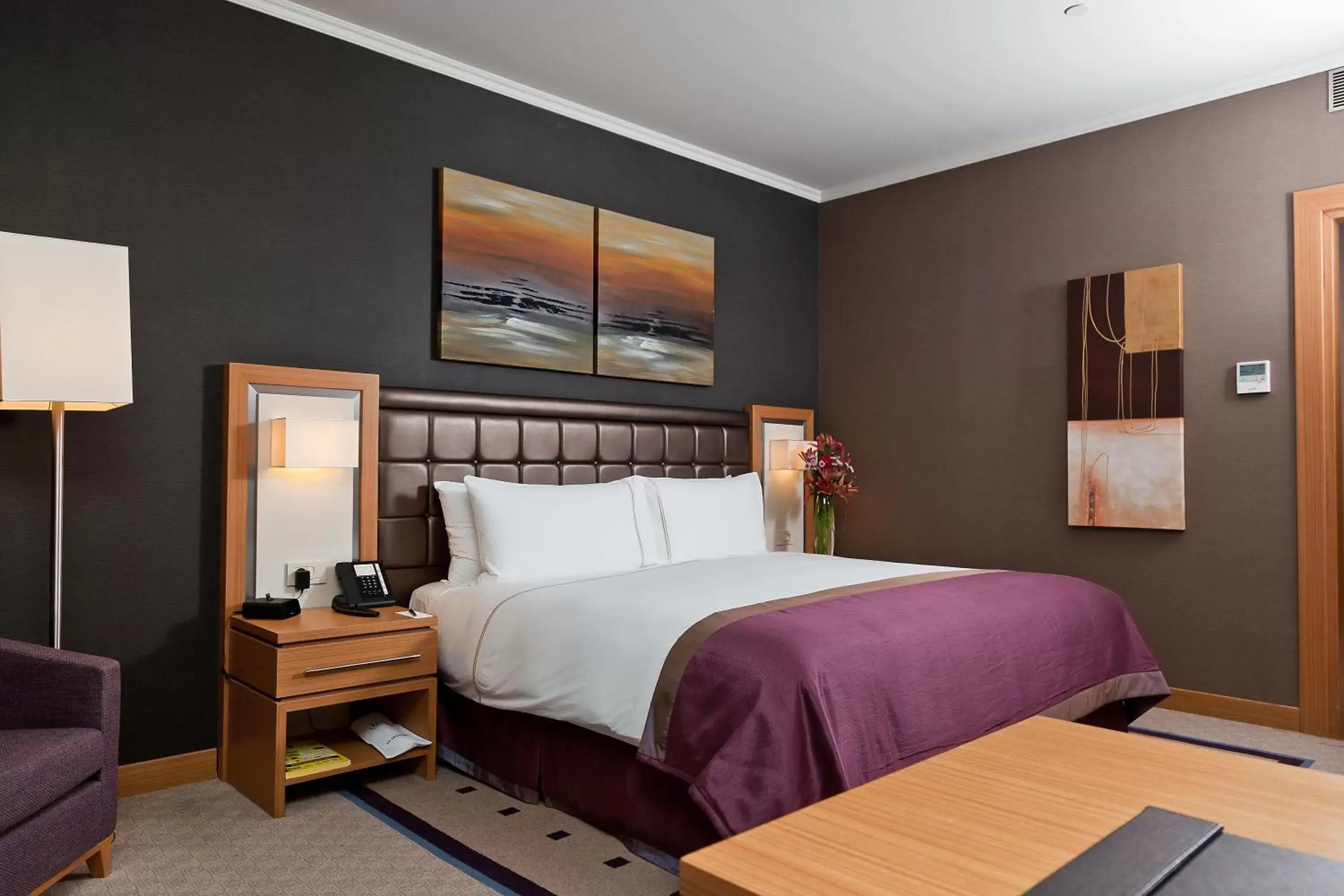 Superior Queen Room - single occupancy in Divan Erbil Hotel Superior Queen Room - single occupancy in Divan Erbil Hotel