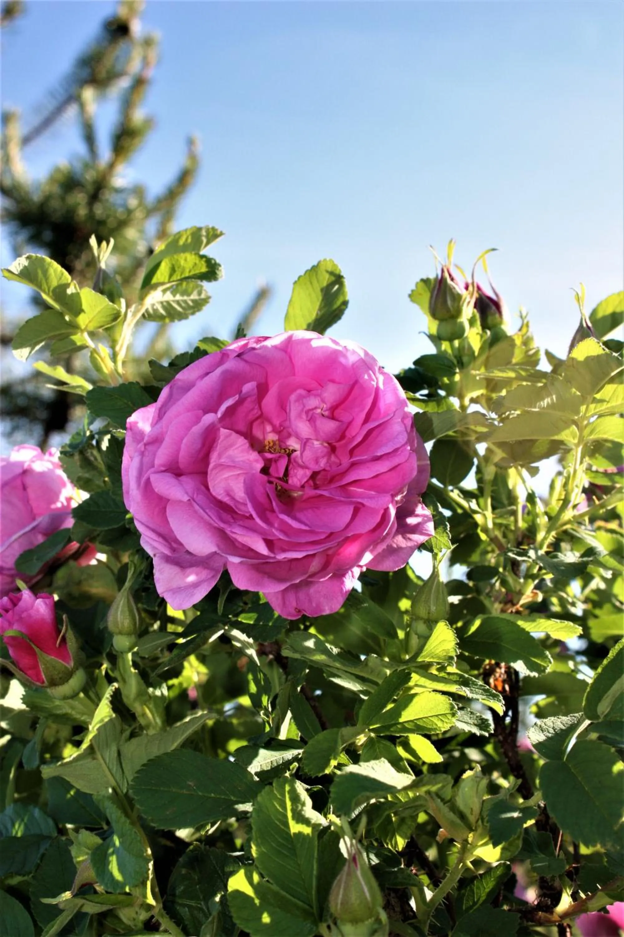 Natural landscape in Woodhouse Cottages And Ranch