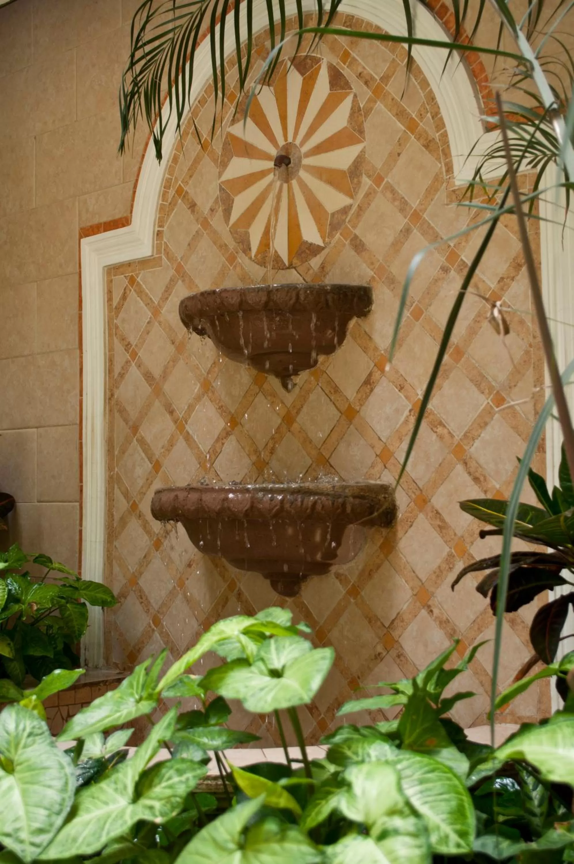 Area and facilities in Villa las Margaritas Plaza Cristal