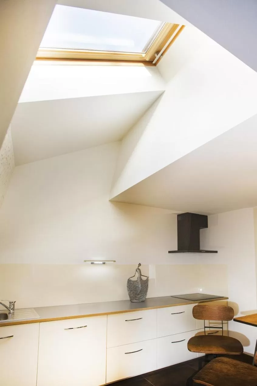 Kitchen or kitchenette in Hotel Inter