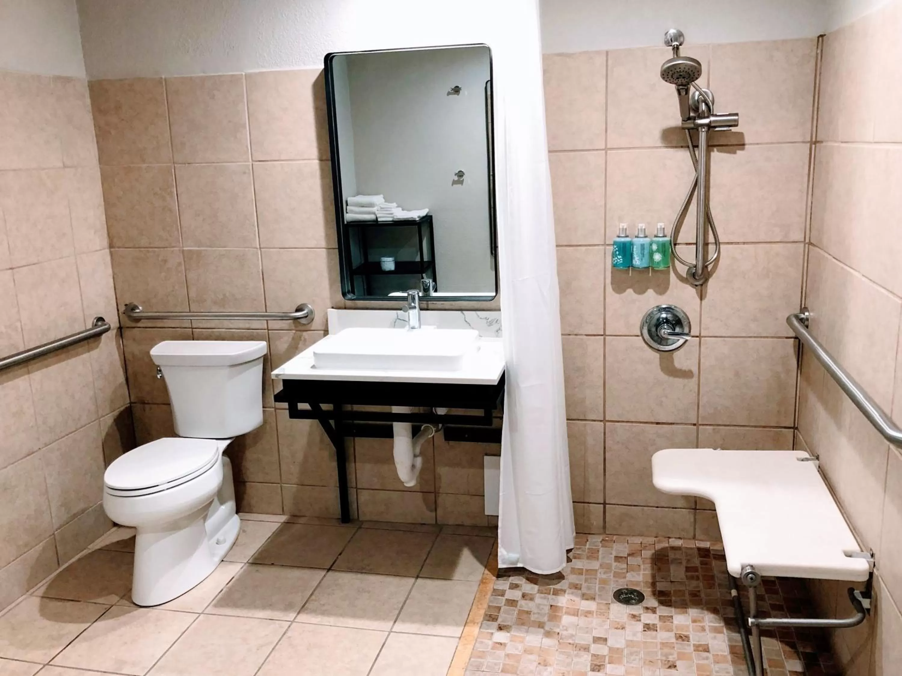 Bathroom in Rodeway Inn St Augustine Historic District