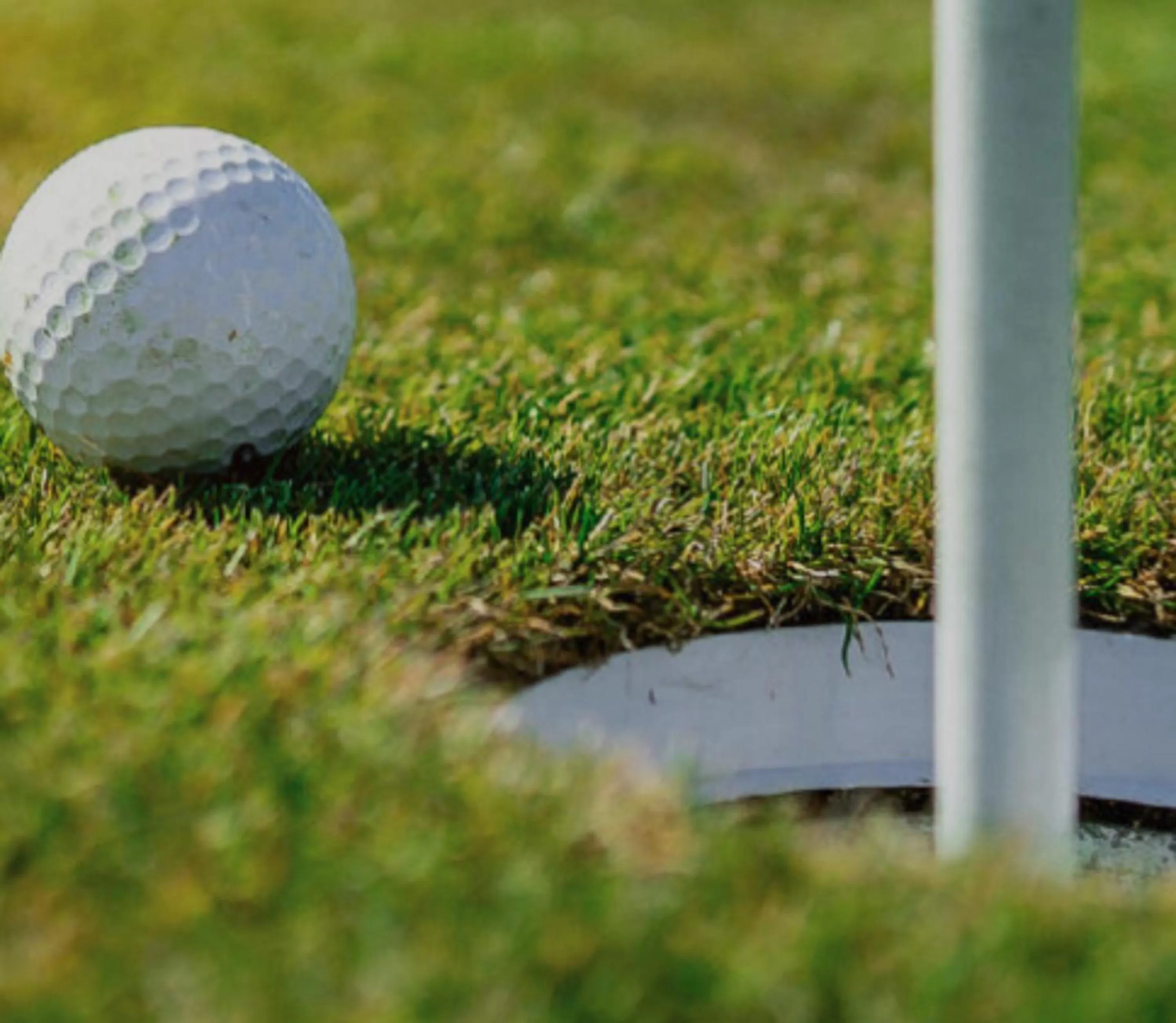 Golfcourse in Langstone Cliff Hotel