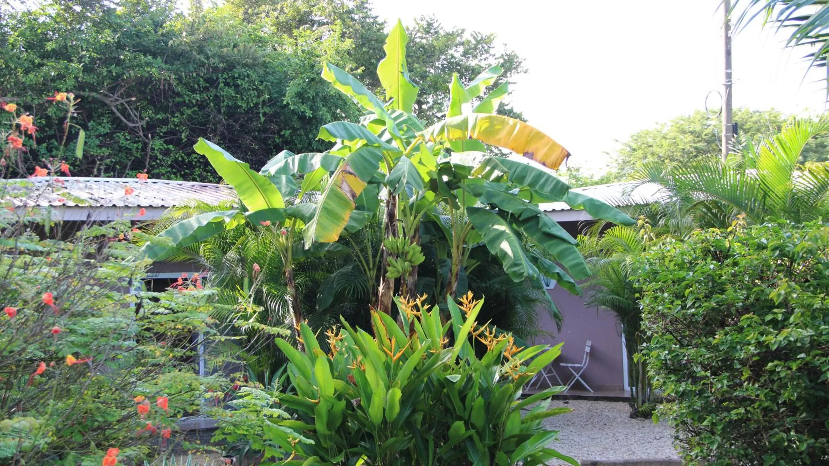 Garden in Tee-K Lodge Tamarindo