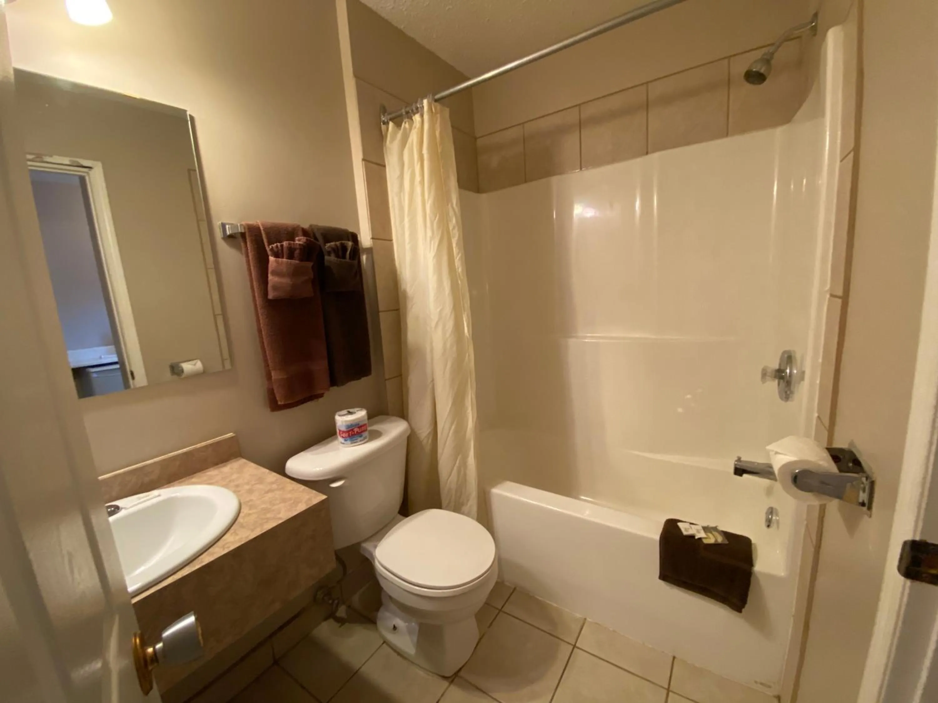 Toilet in Aspen Motor Inn