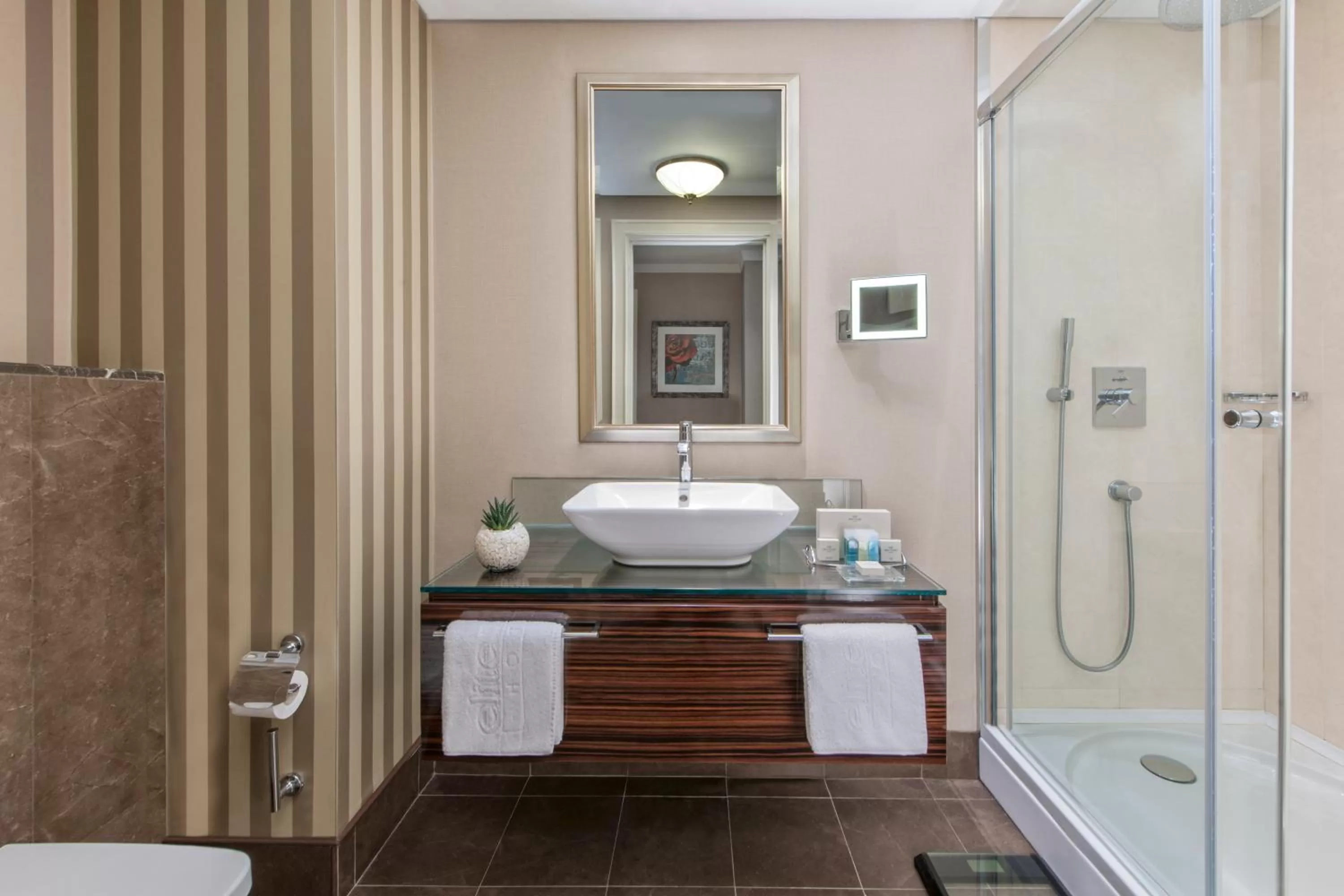 Toilet in Elite World Istanbul Florya