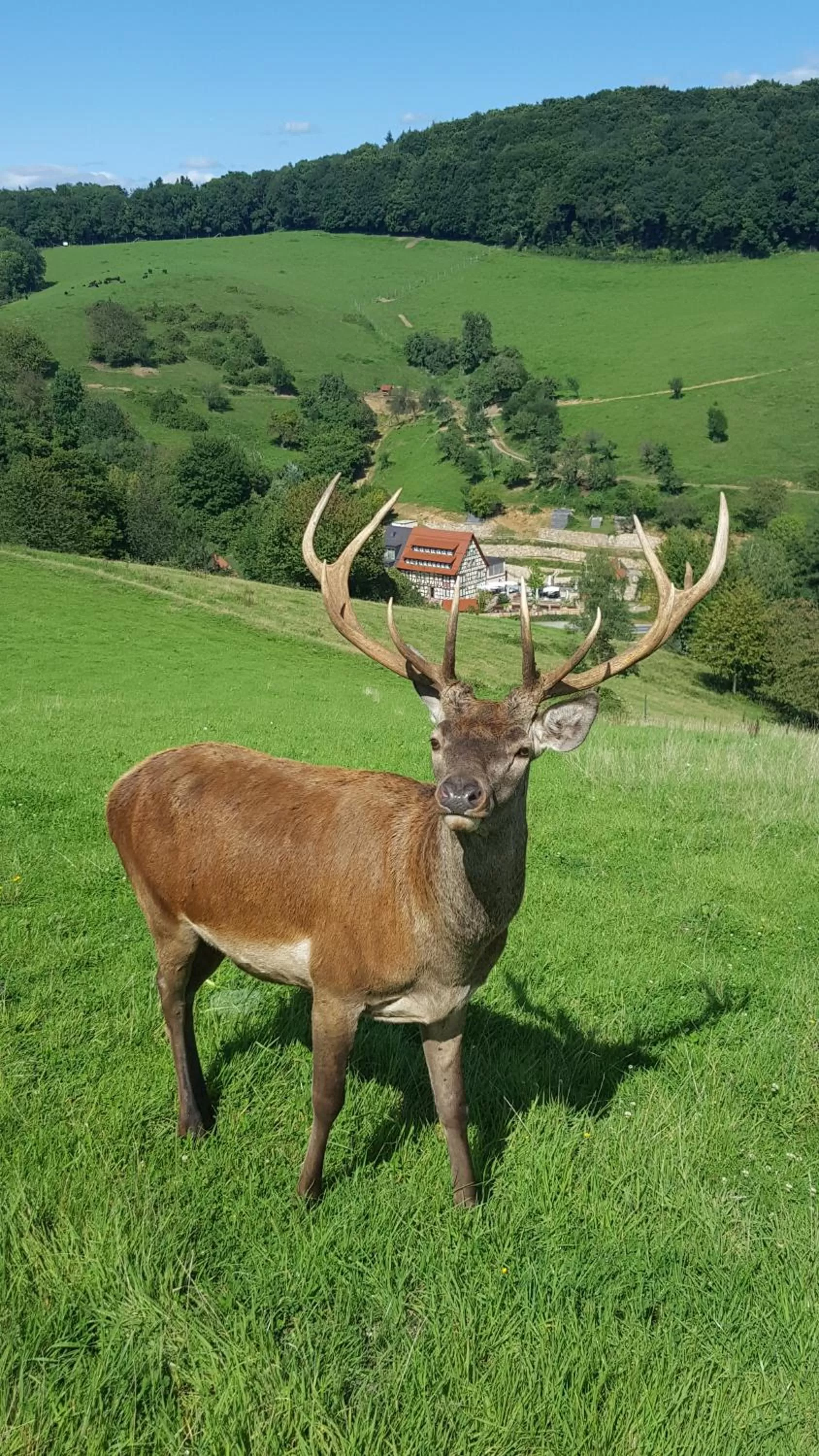 Off site in Landhotel Lammershof