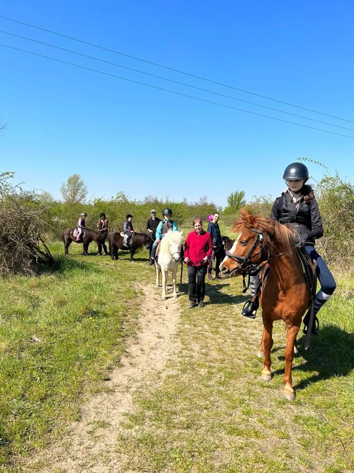 Horse-riding, Horseback Riding in Spa & Pool Apartment Hotel - Restaurant VILLA IVICA