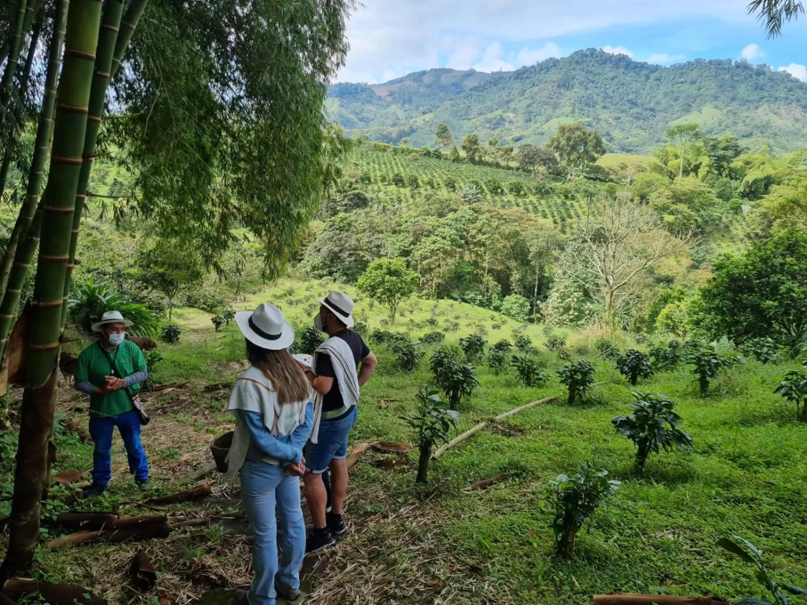 Off site in Finca del Café - Casa Typica