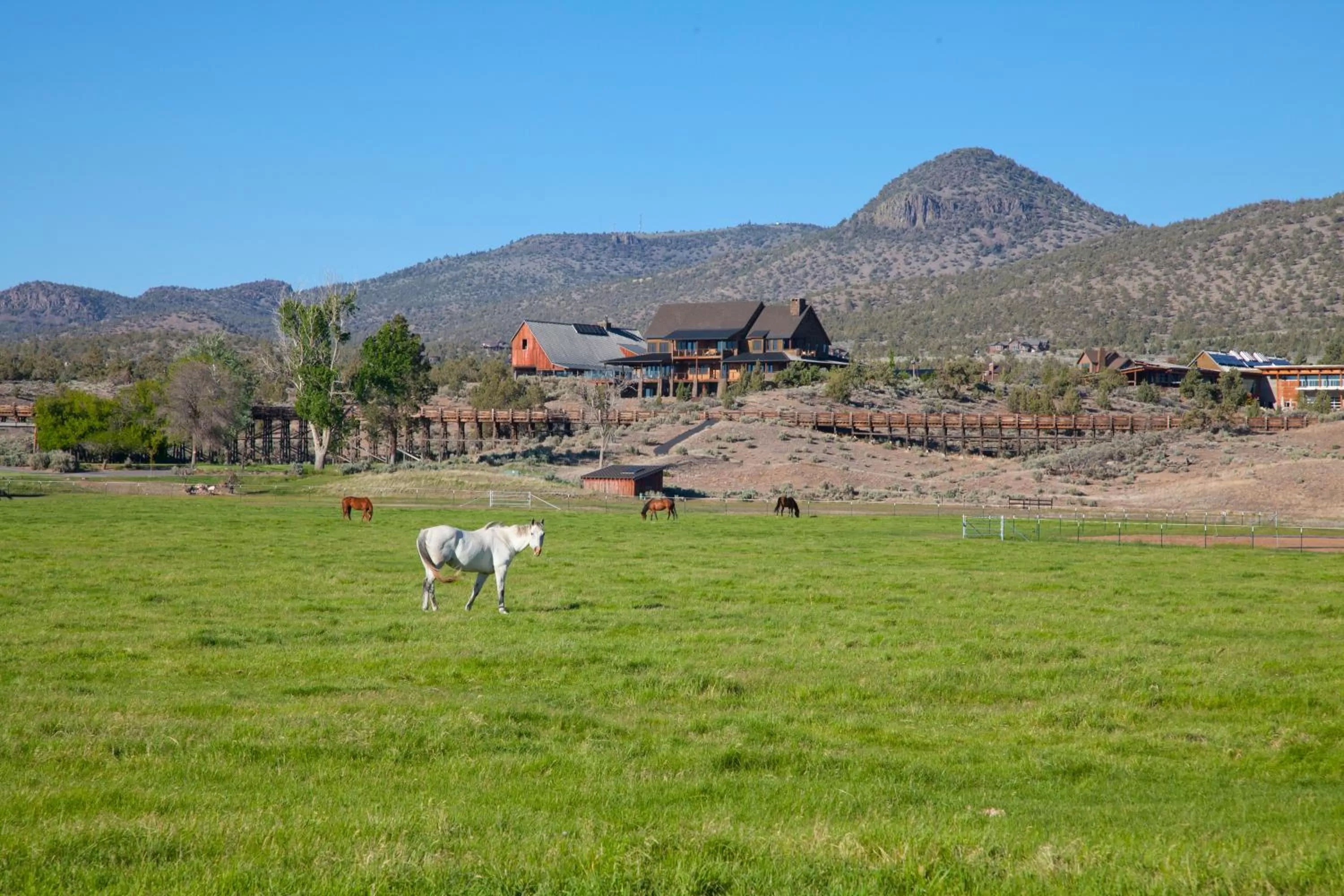 Day in Brasada Ranch