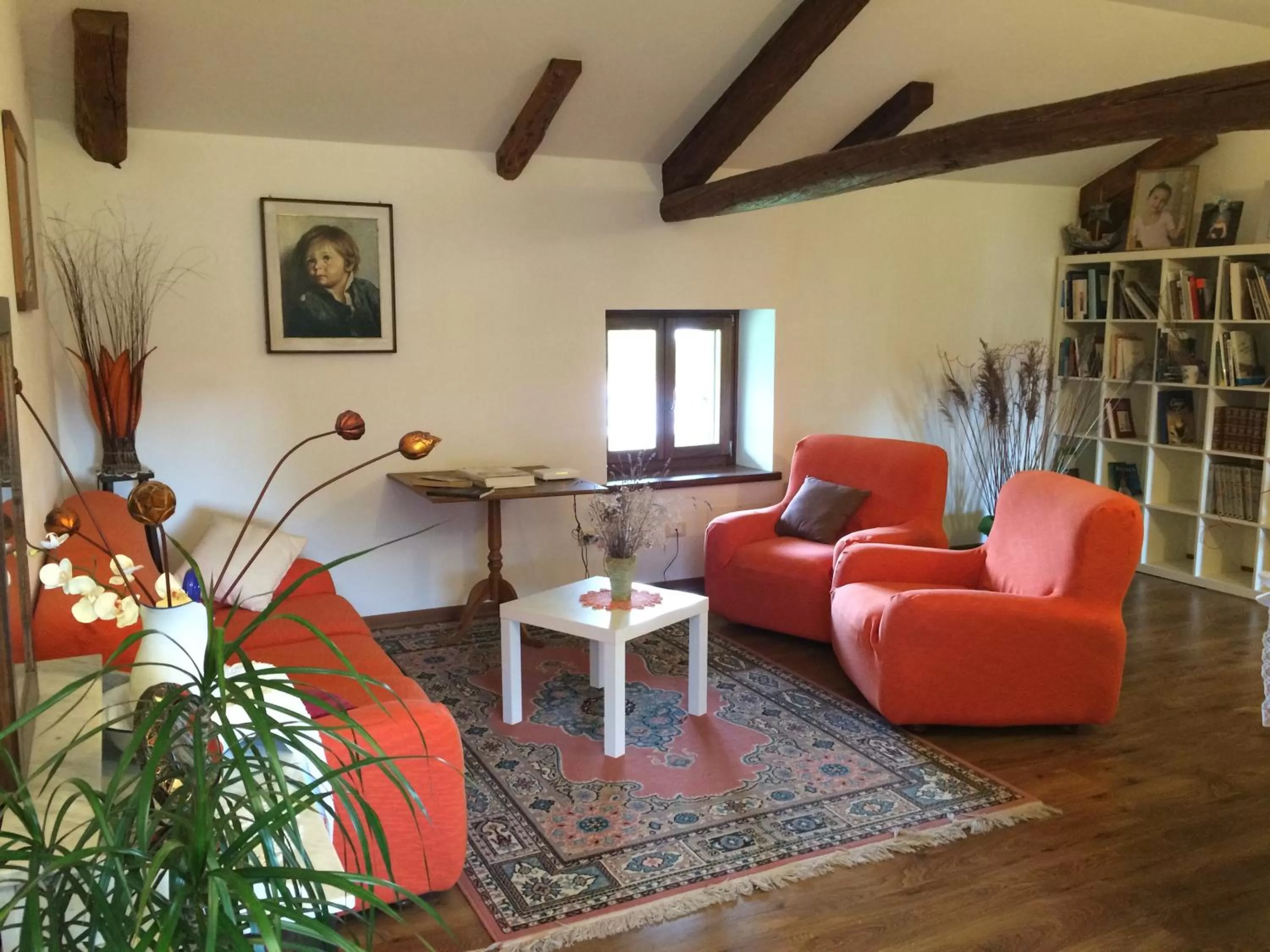 Library in Casa Pellis