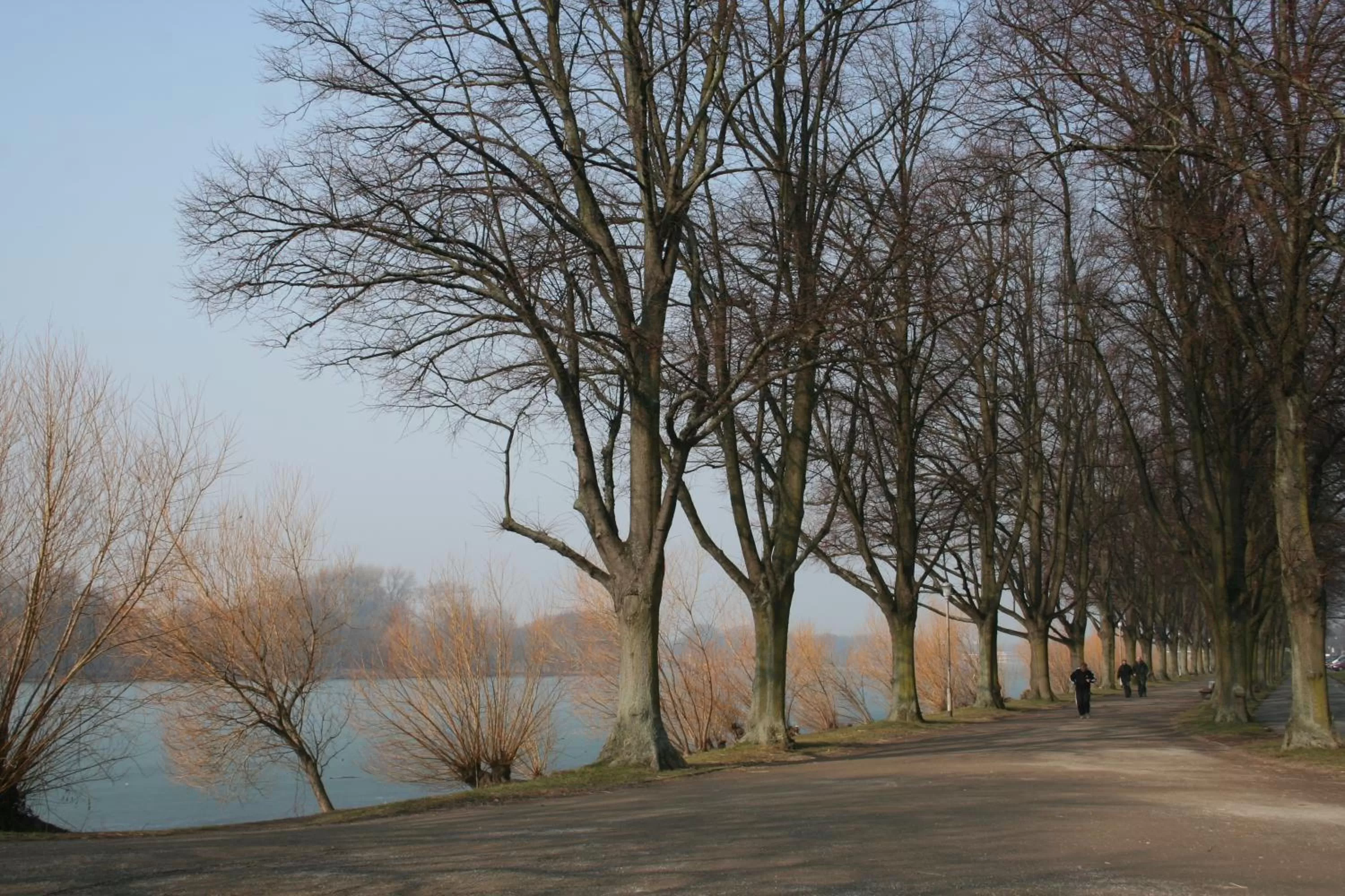 Nearby landmark in Hotel Landhaus Ammann