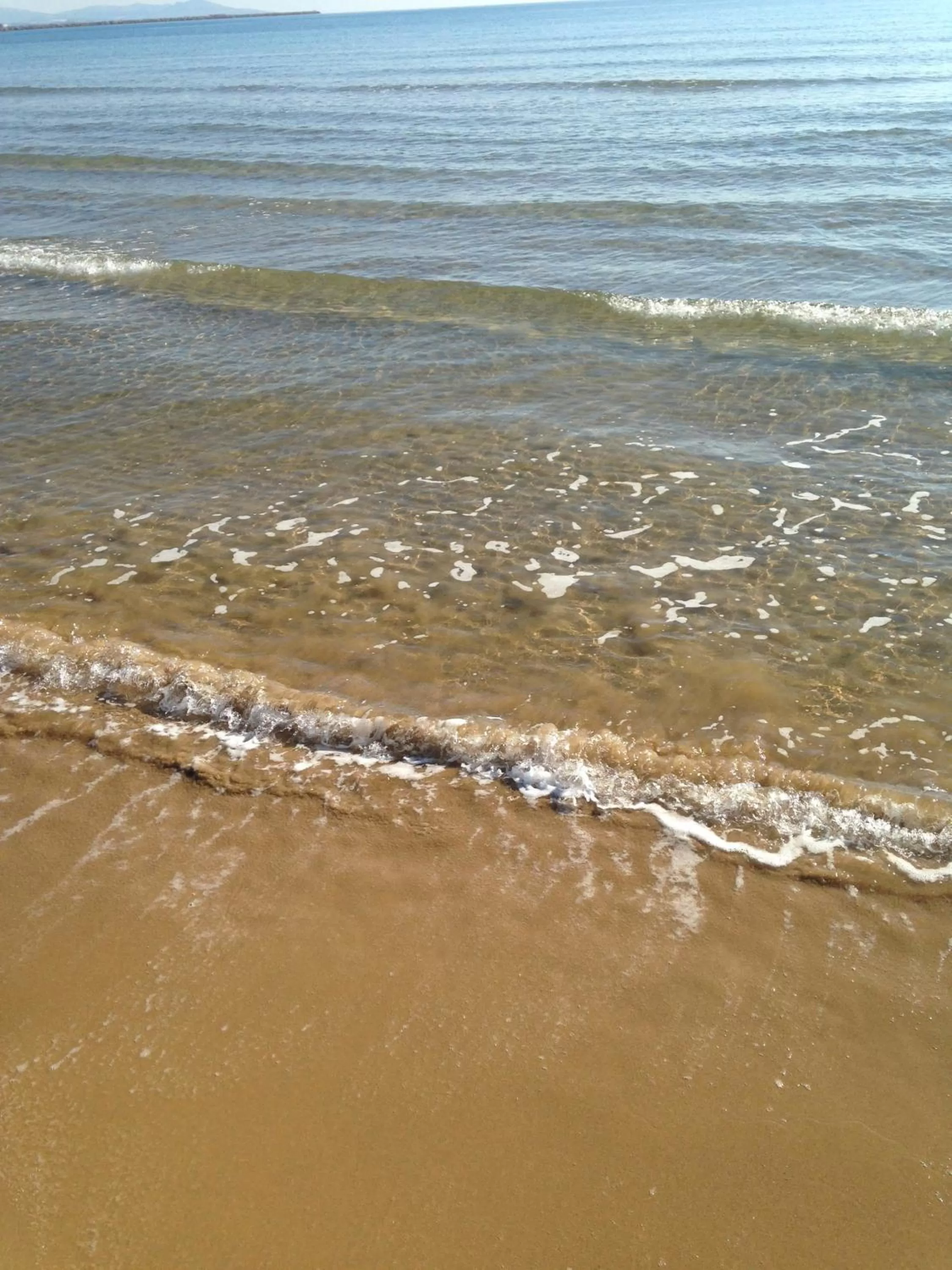 Beach in Hotel Riviera Palace
