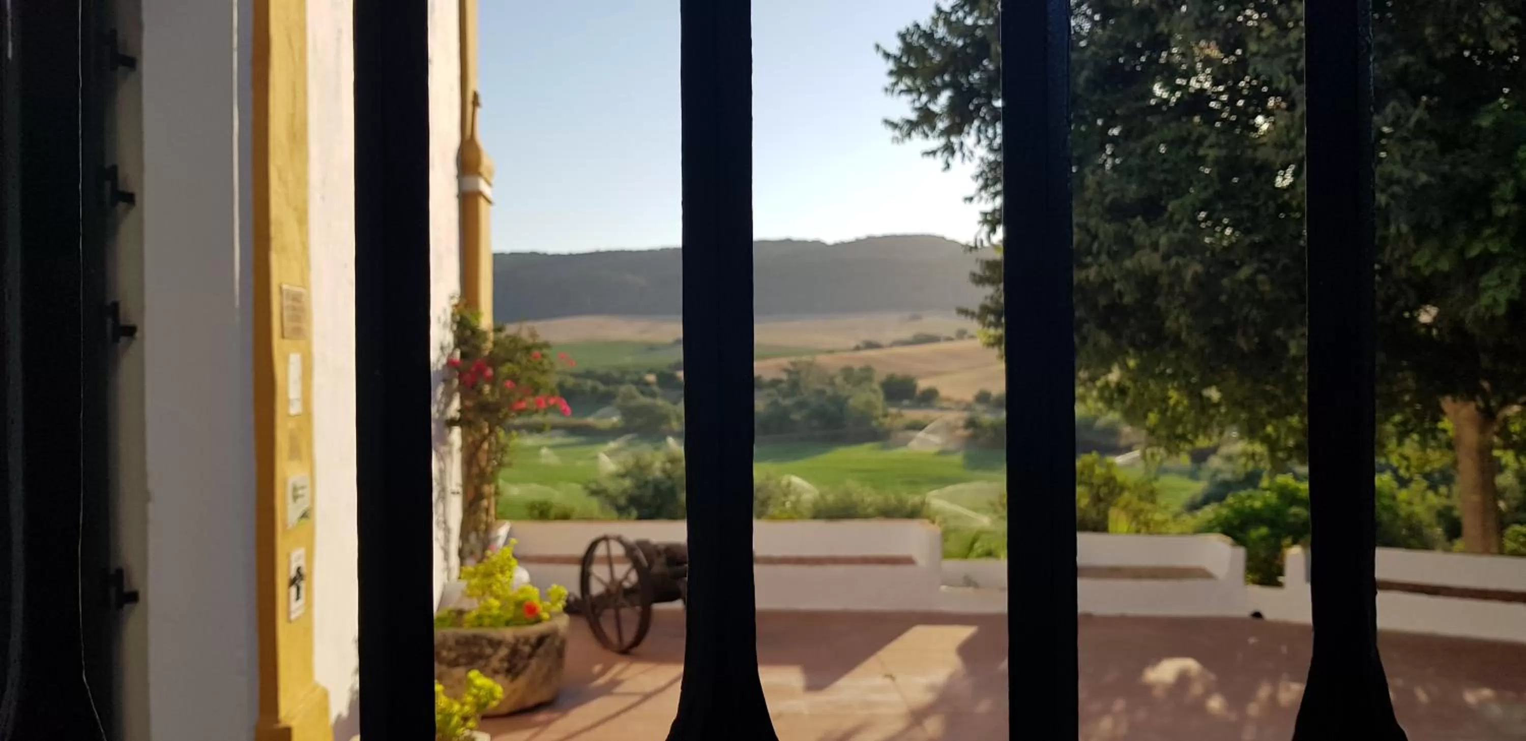 Garden in Hacienda El Santiscal Adults Only