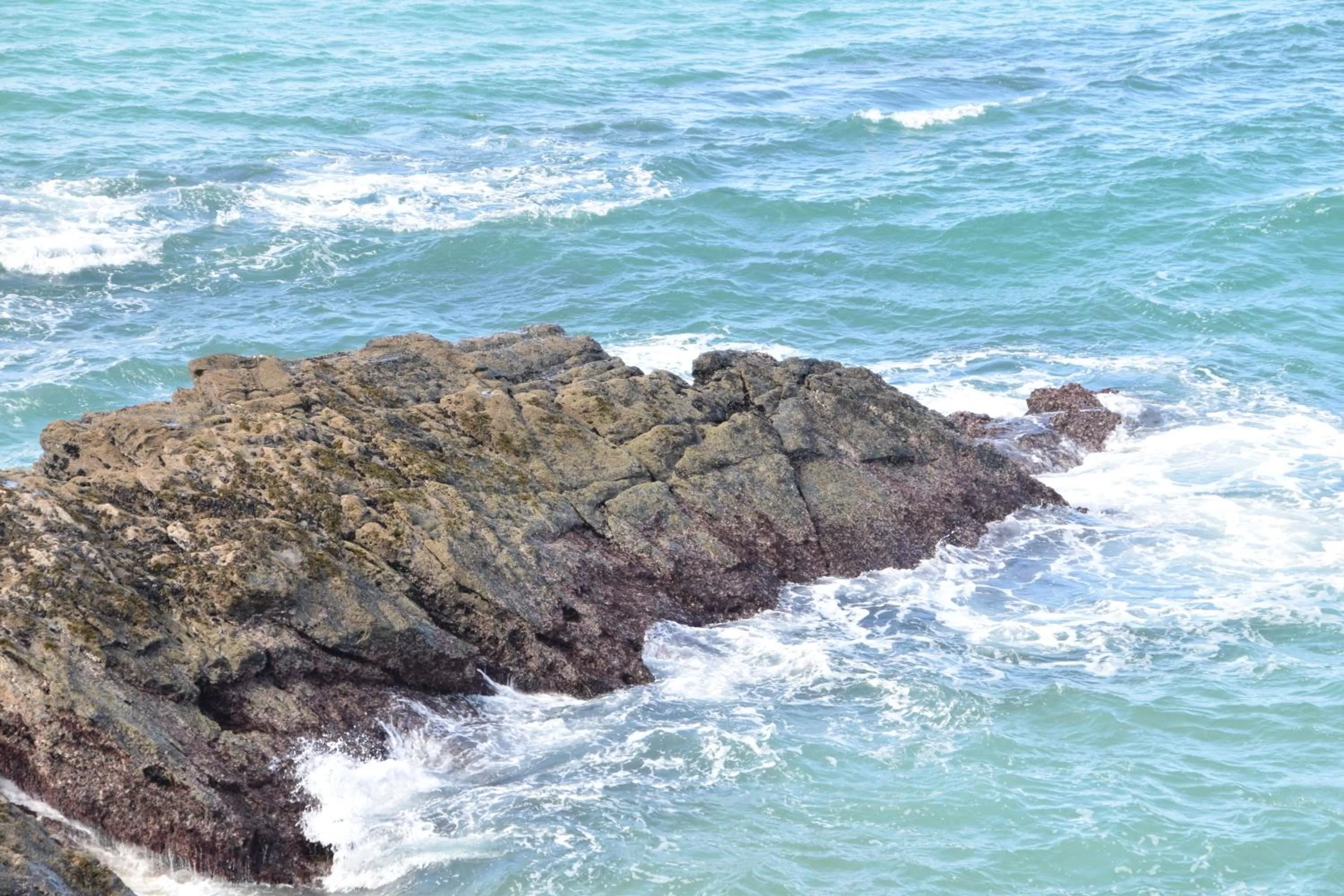 Apartamentos Carruna