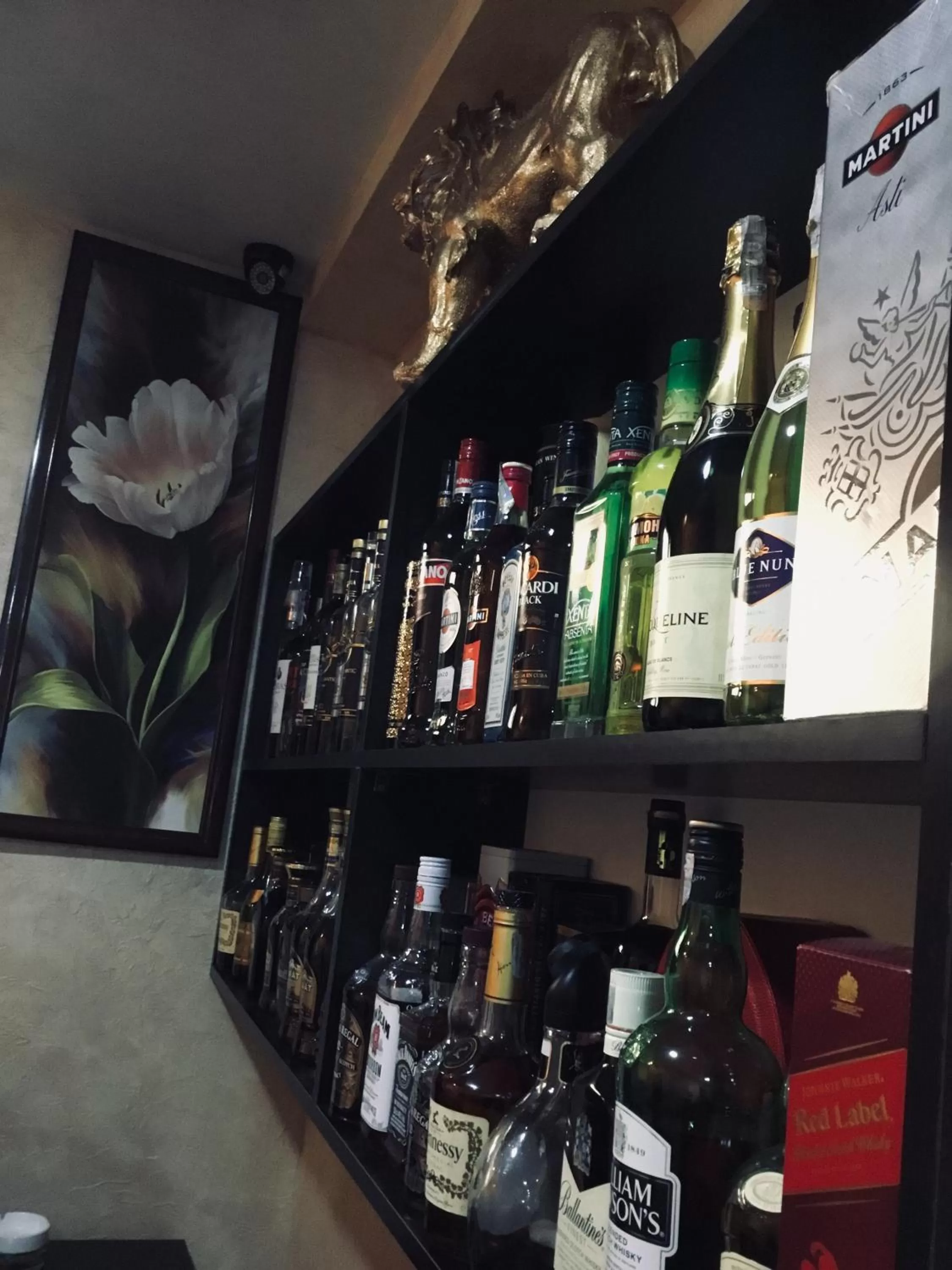 Drinks in Lovely Hotel in Centre